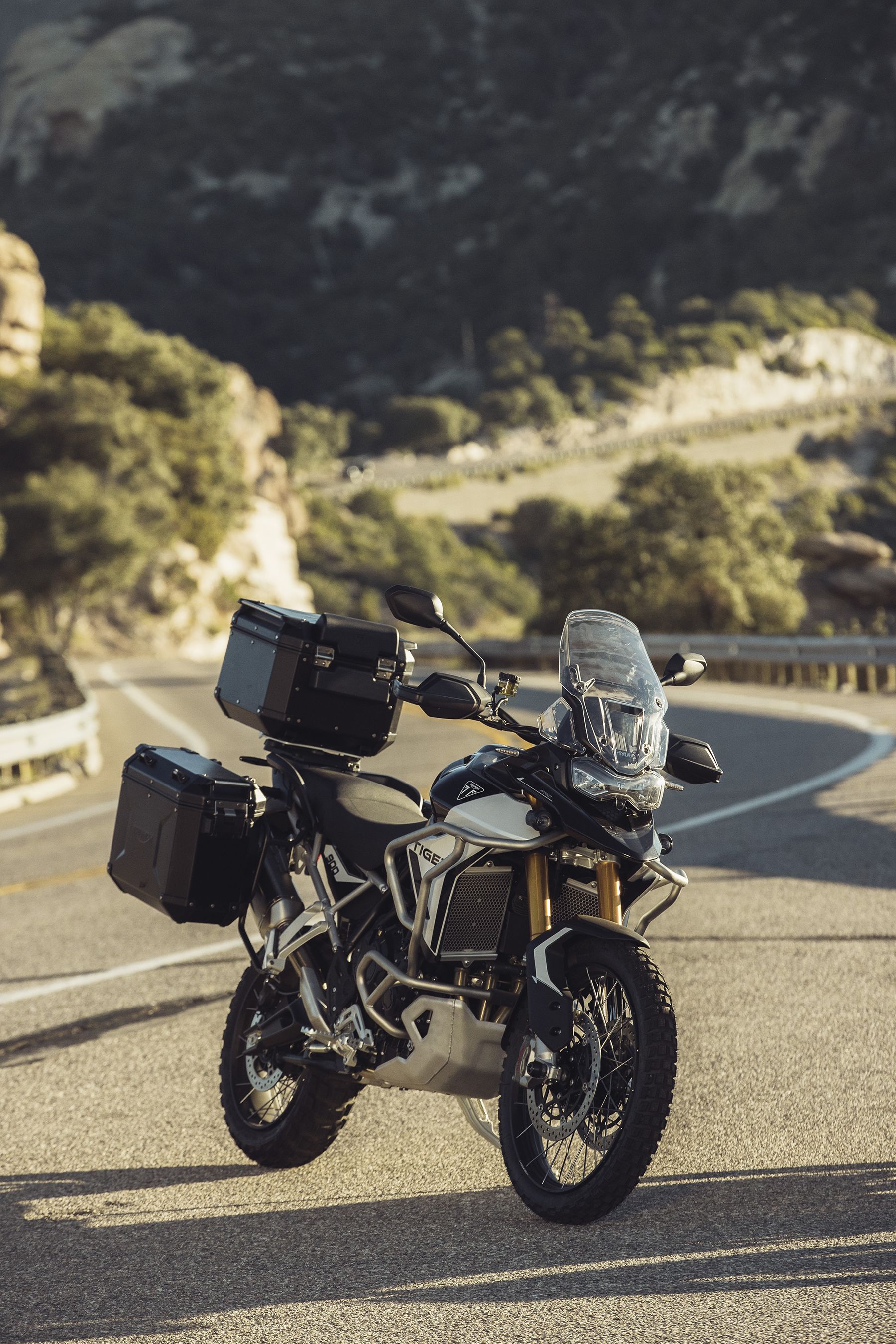 Fotos Triumph Tiger 900 2024