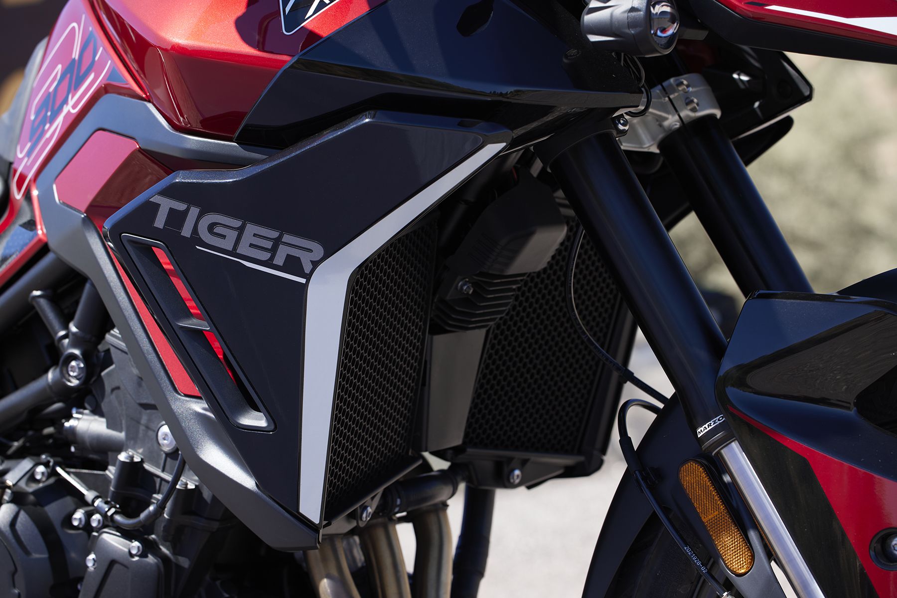 Fotos Triumph Tiger 900 2024