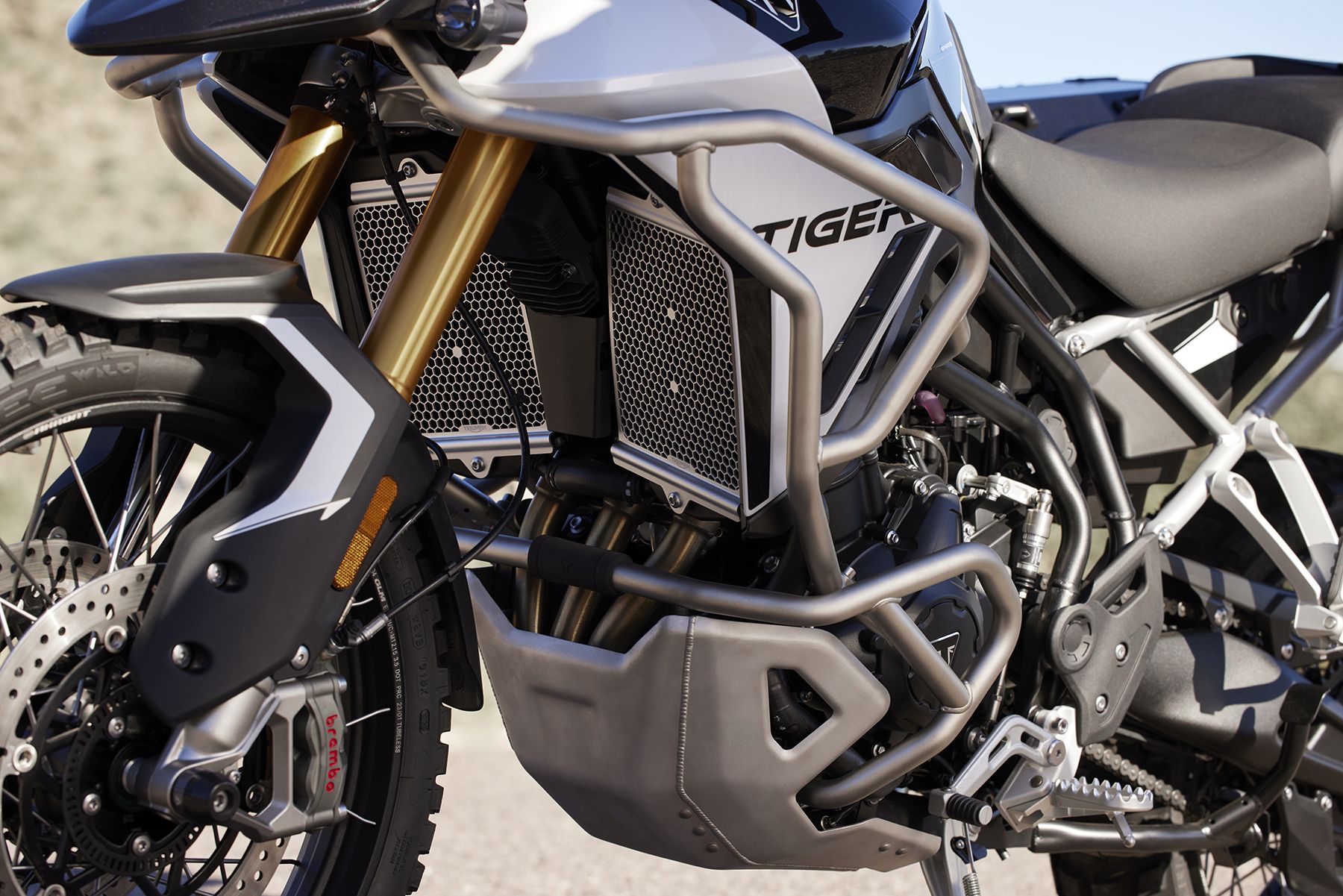 Fotos Triumph Tiger 900 2024