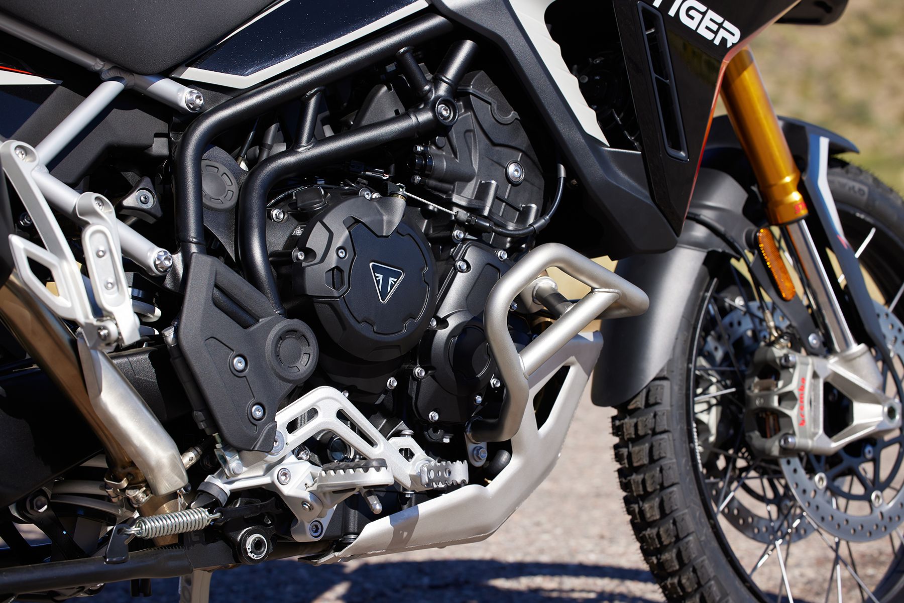 Fotos Triumph Tiger 900 2024