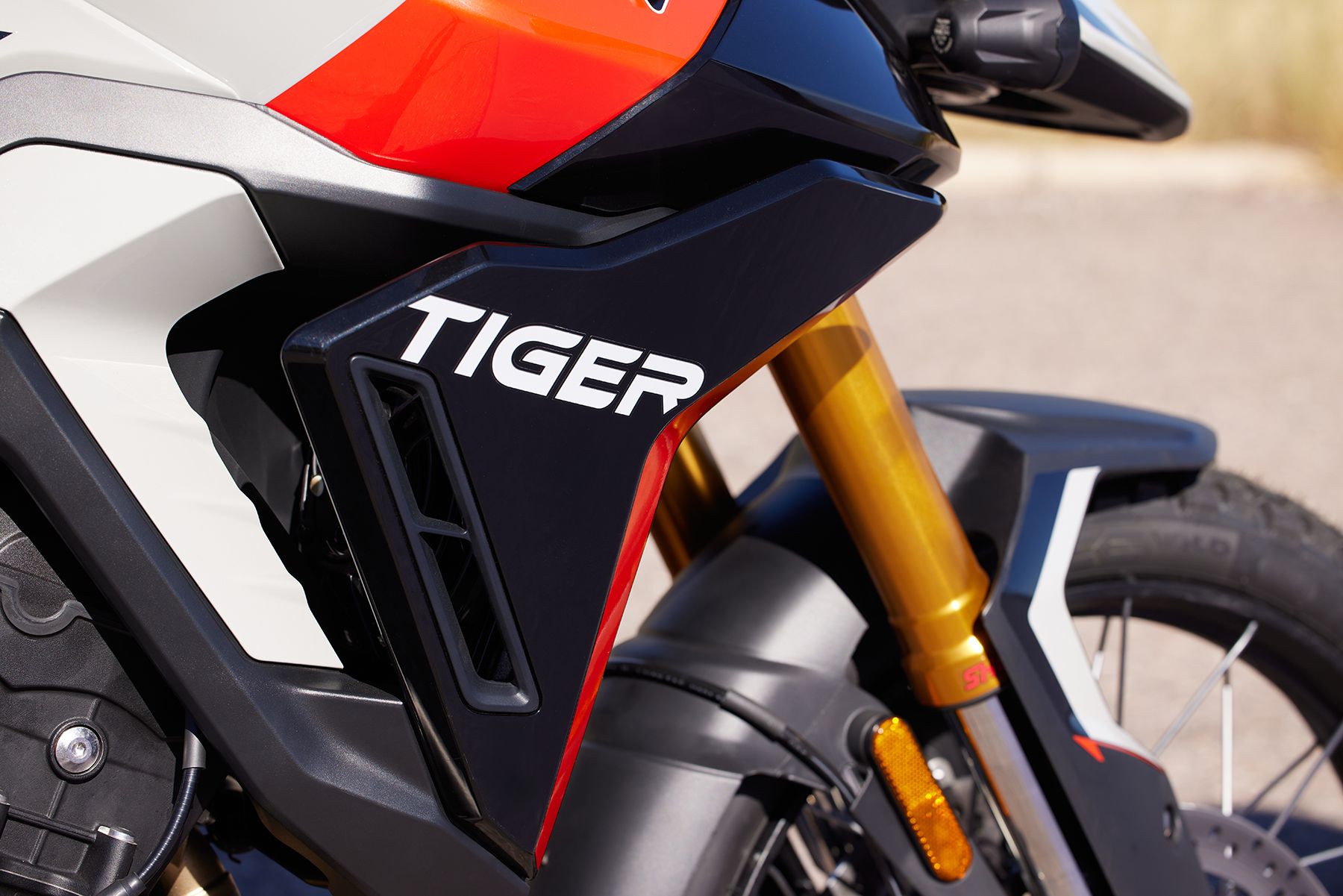 Fotos Triumph Tiger 900 2024