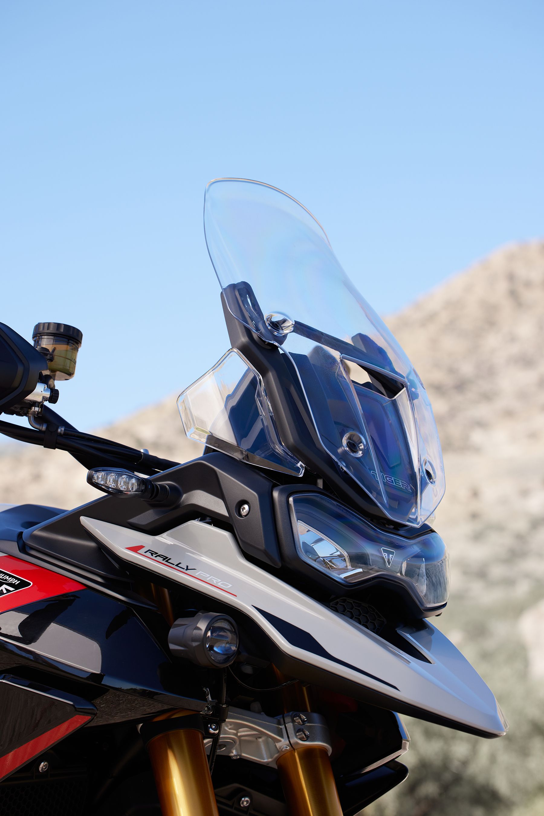 Fotos Triumph Tiger 900 2024