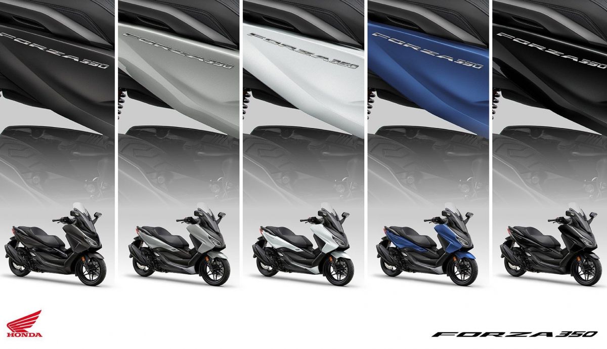 24YM FORZA 350