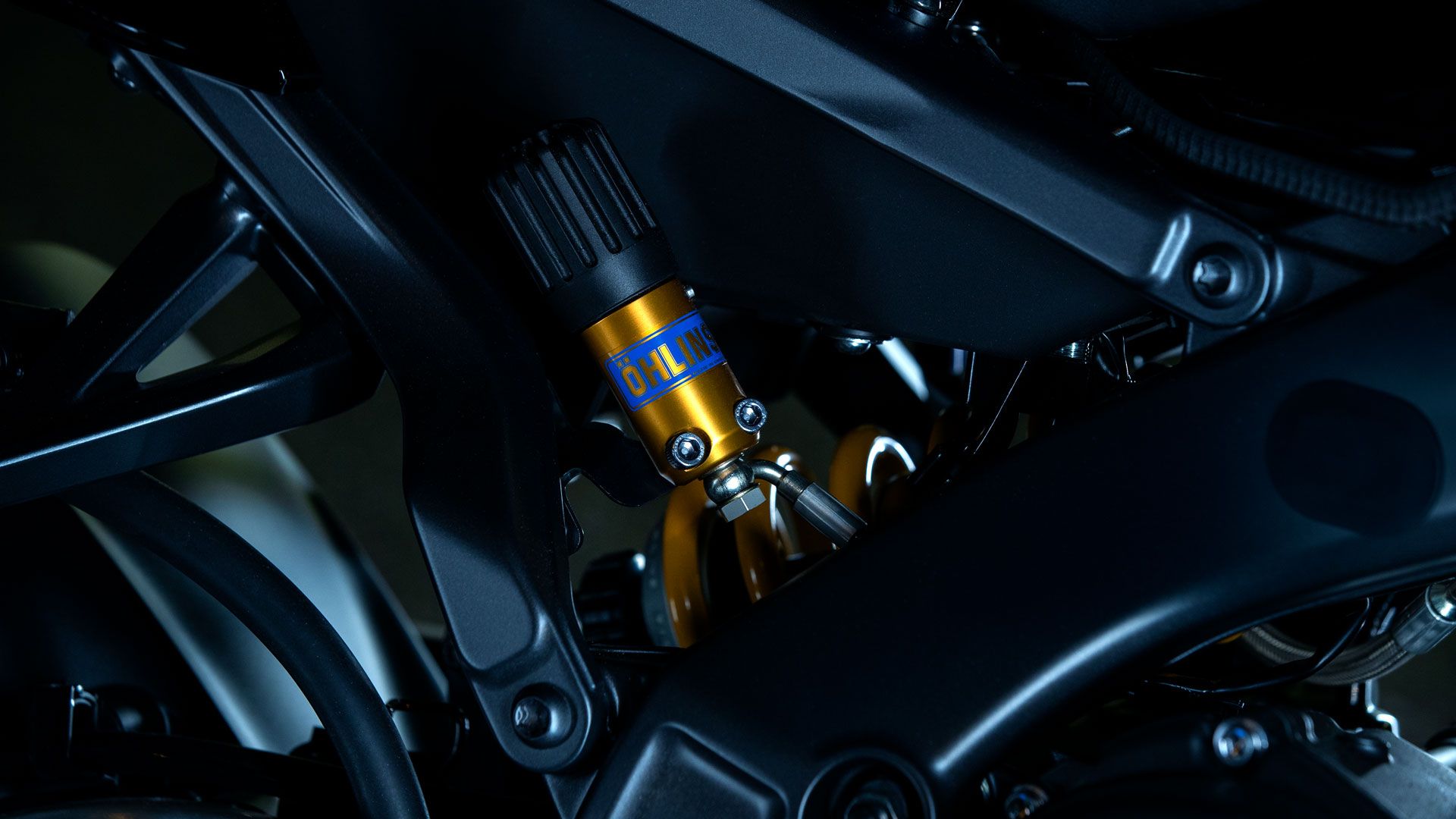 Yamaha MT 09SP 2024 Detalles (4)