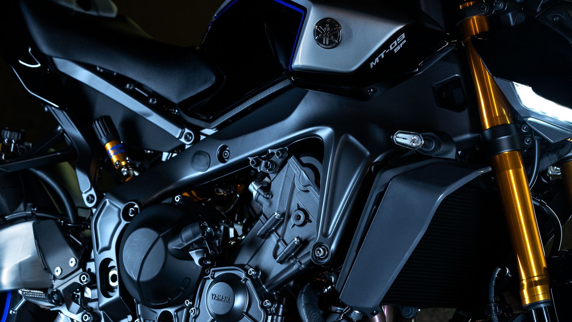 Yamaha MT 09SP 2024 Detalles (11)