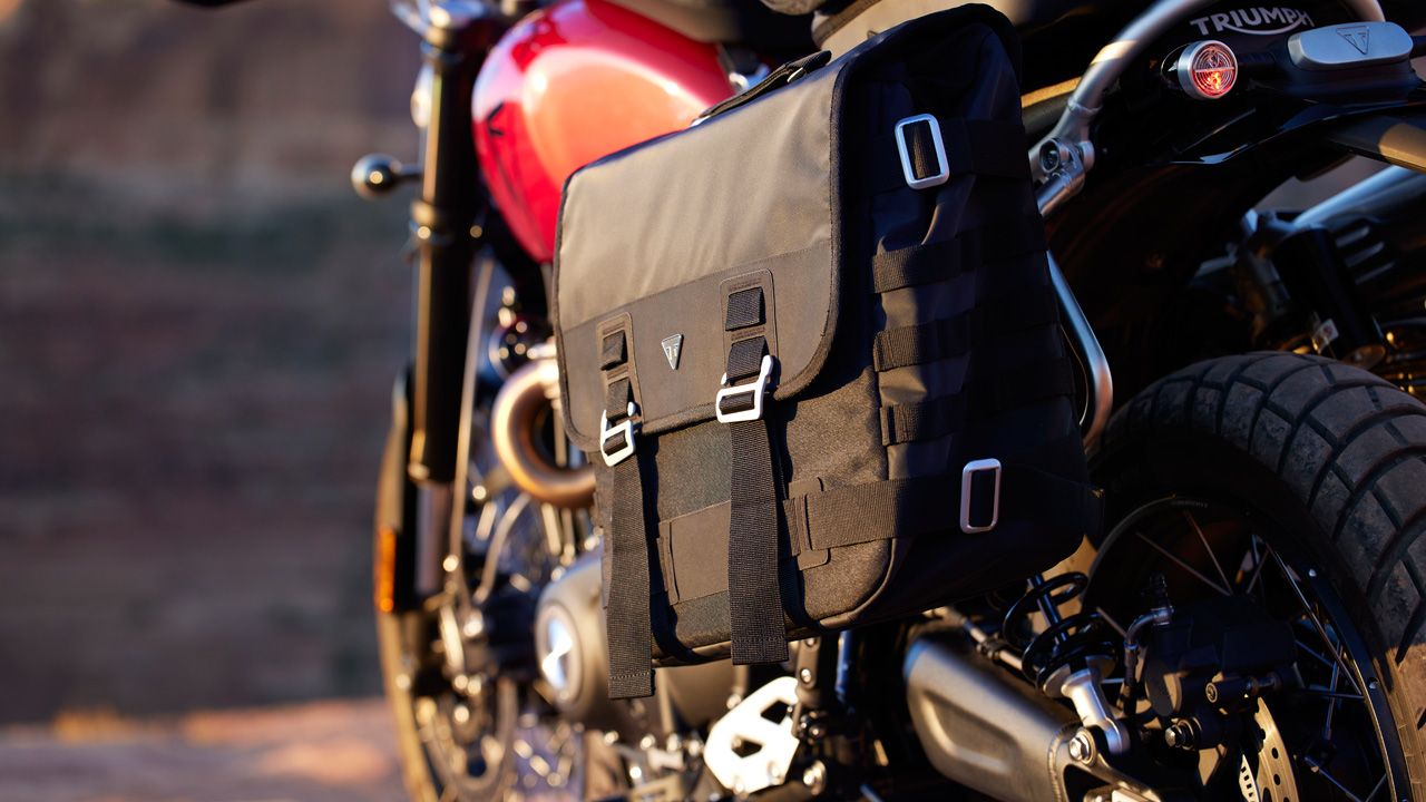 Triumph Scrambler 1200 X 2024