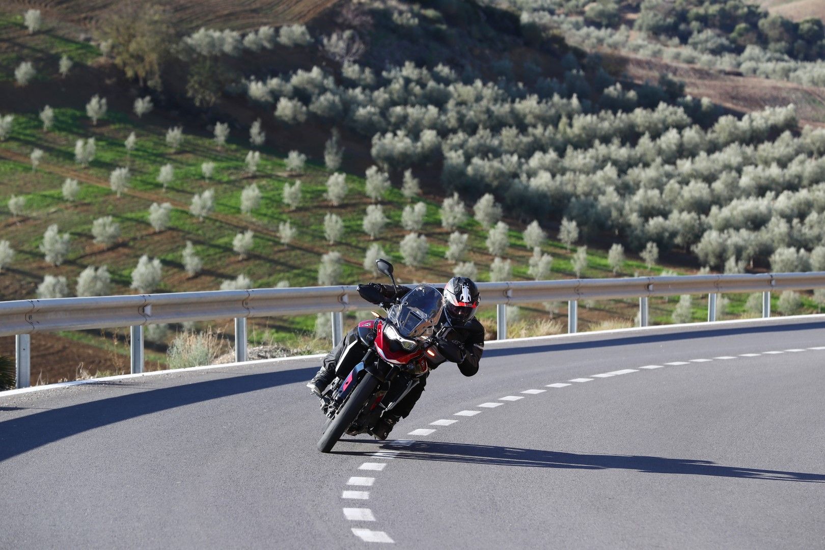 Fotos Triumph Tiger 900 GT Pro 2024