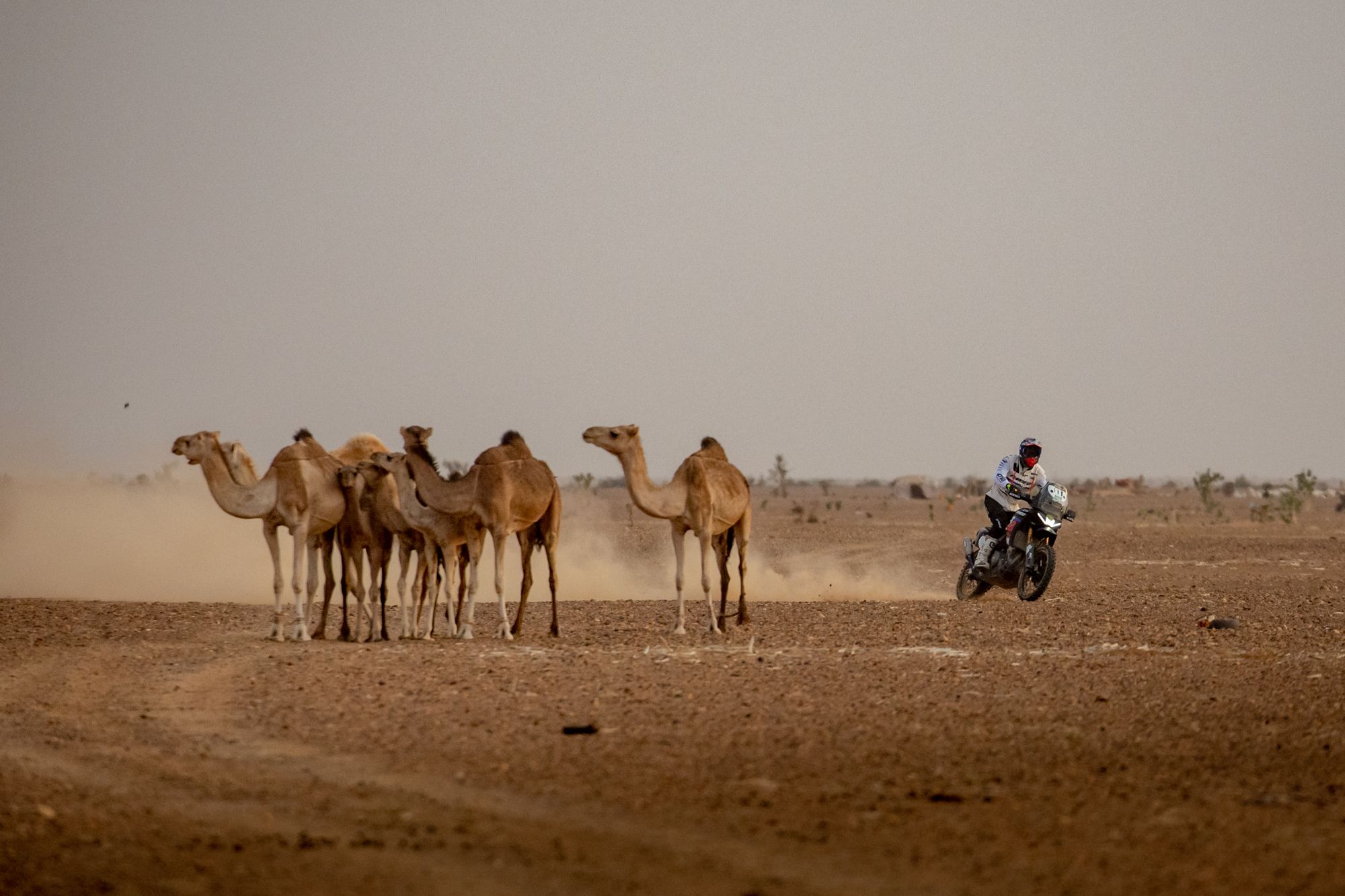 Fotos Africa Eco Race 2024