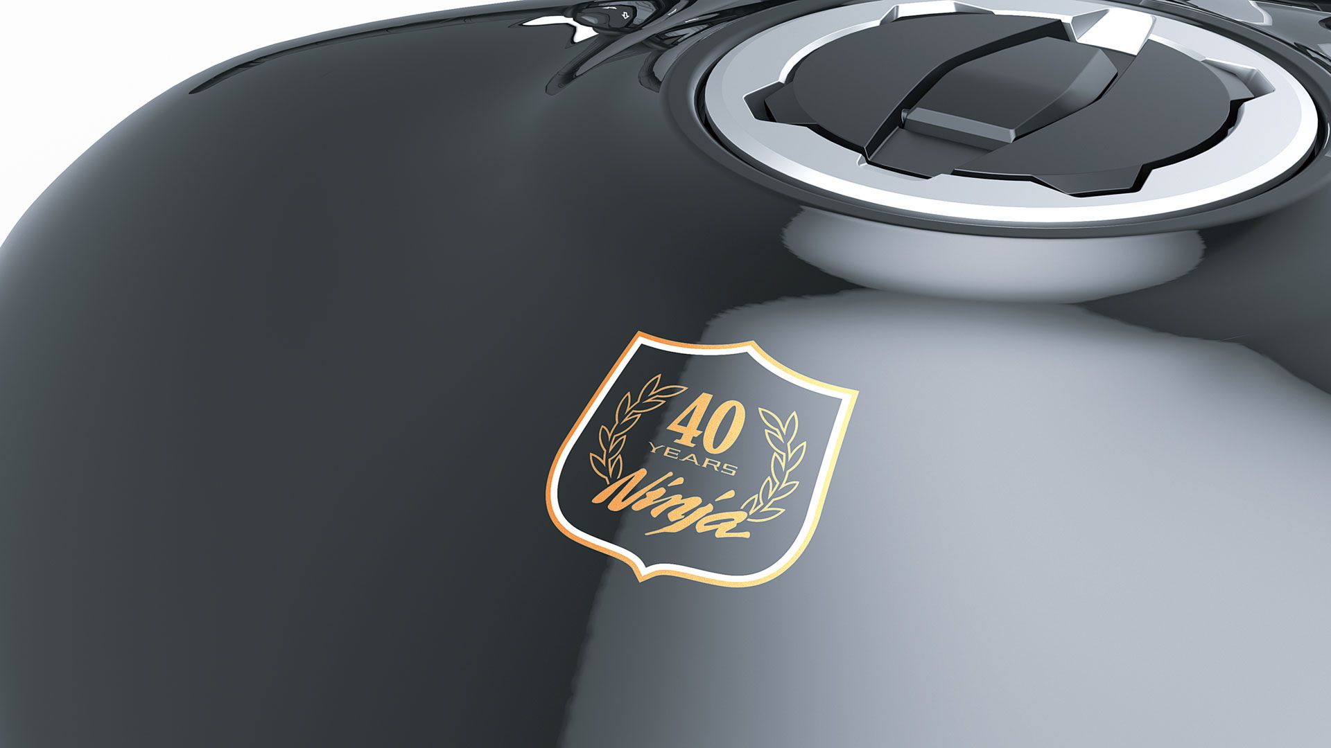 Kawasaki Ninja 1000 SX 40th Anniversary Edition 2024 (1)
