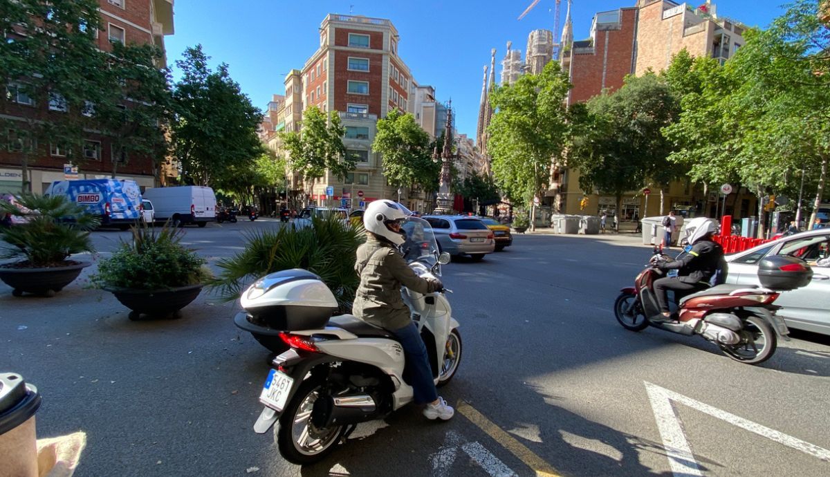 Cómo renovar el carnet de conducir desde casa