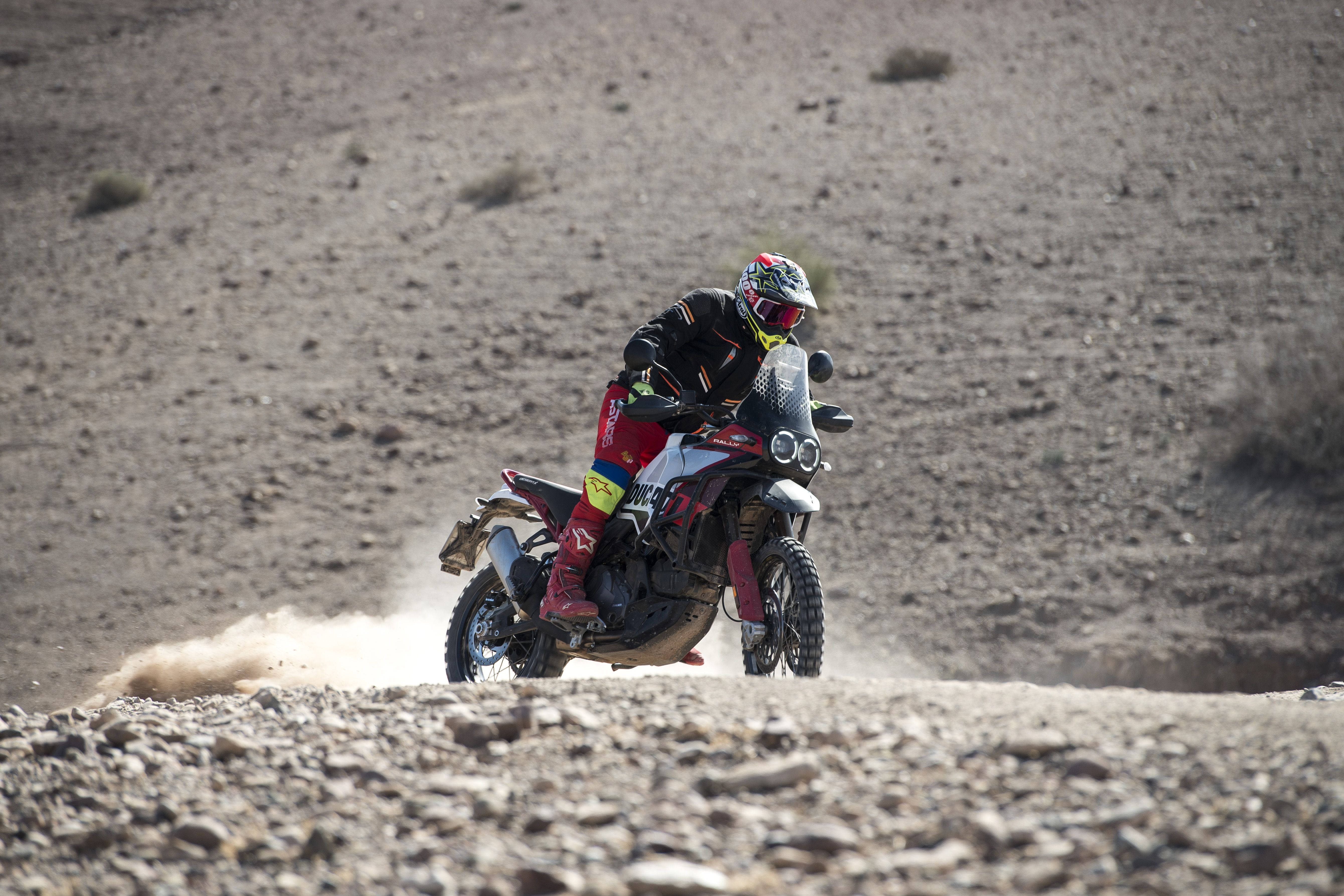 Ducati DesertX Rally 2024 