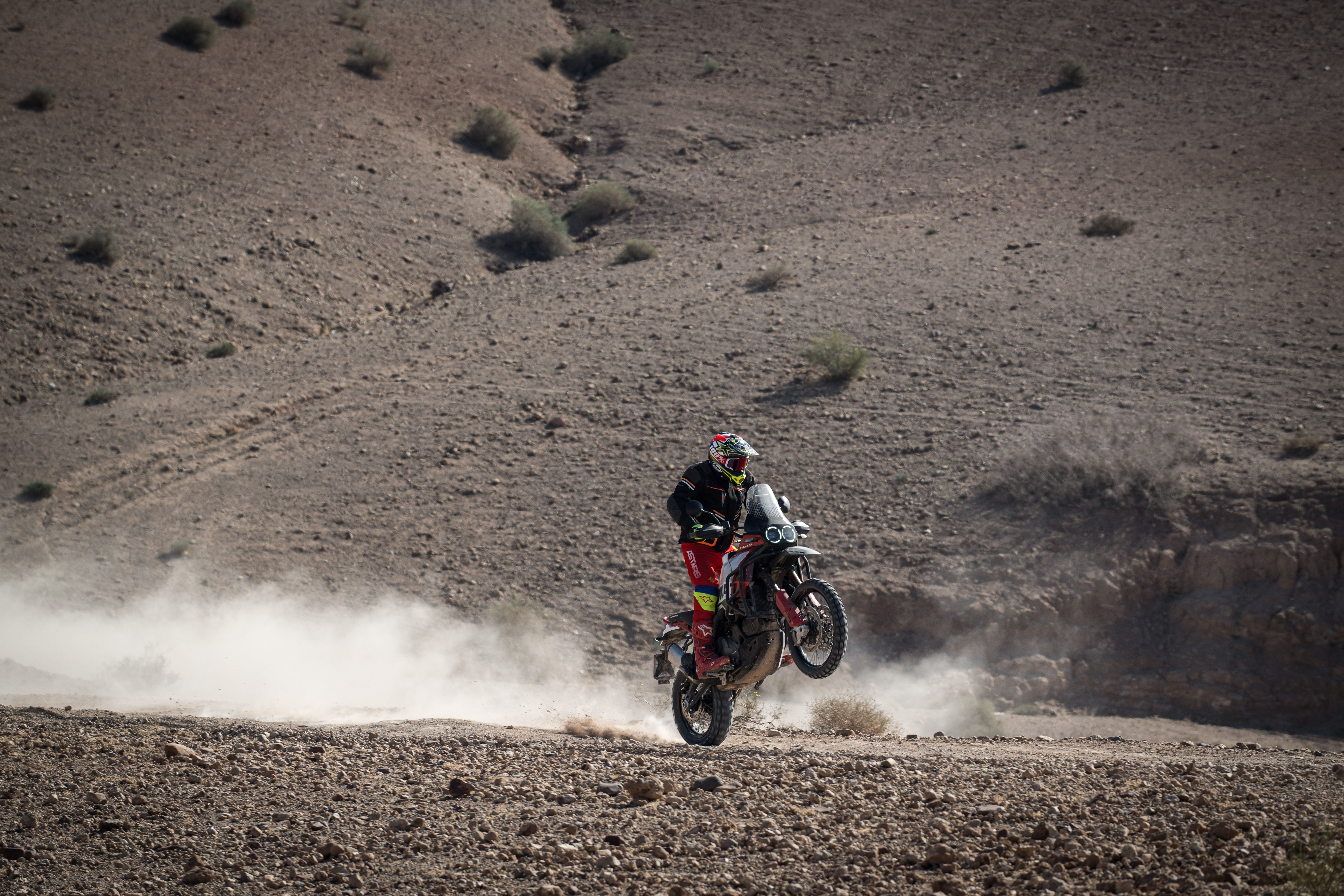 Ducati DesertX Rally 2024 