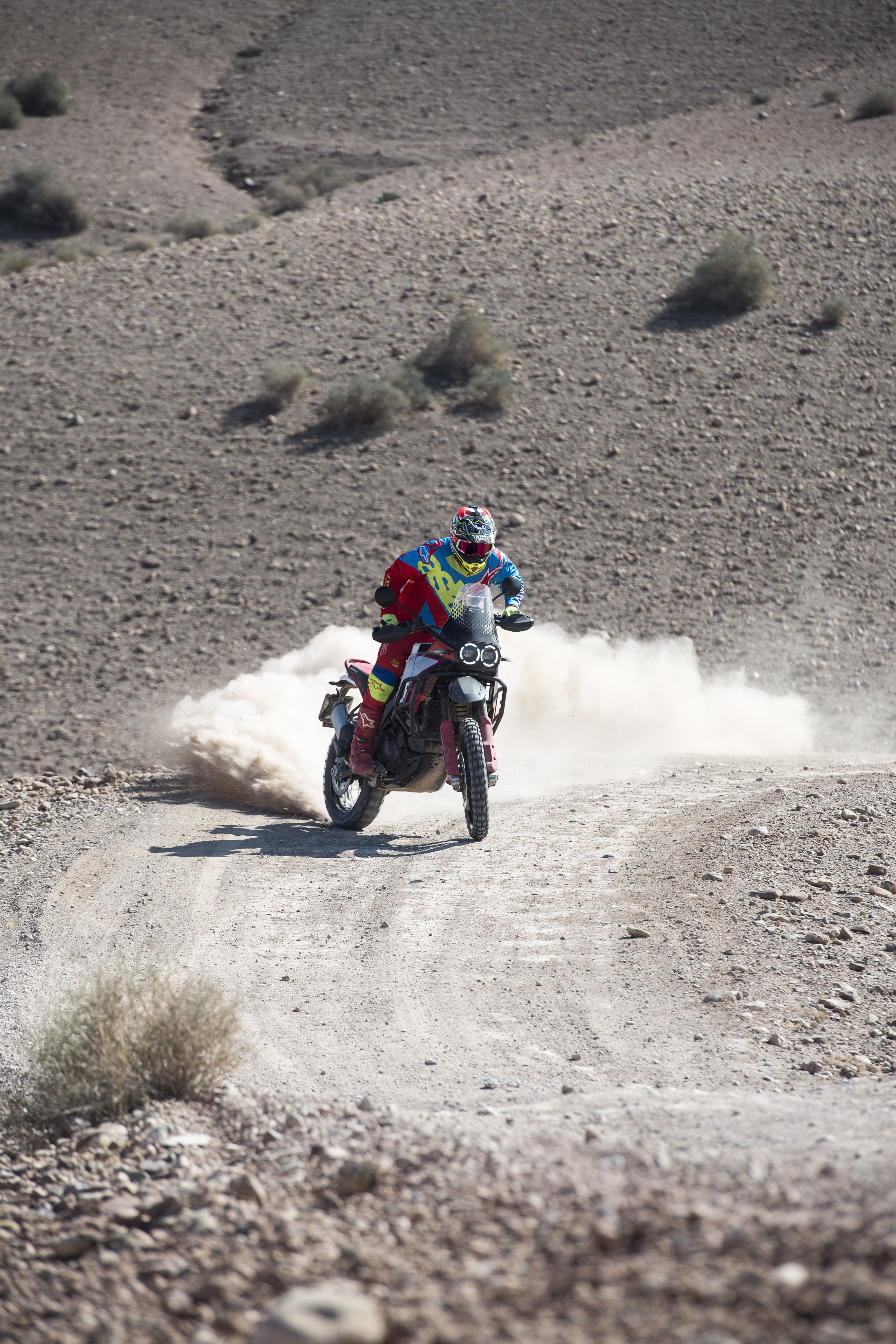 Ducati DesertX Rally 2024 