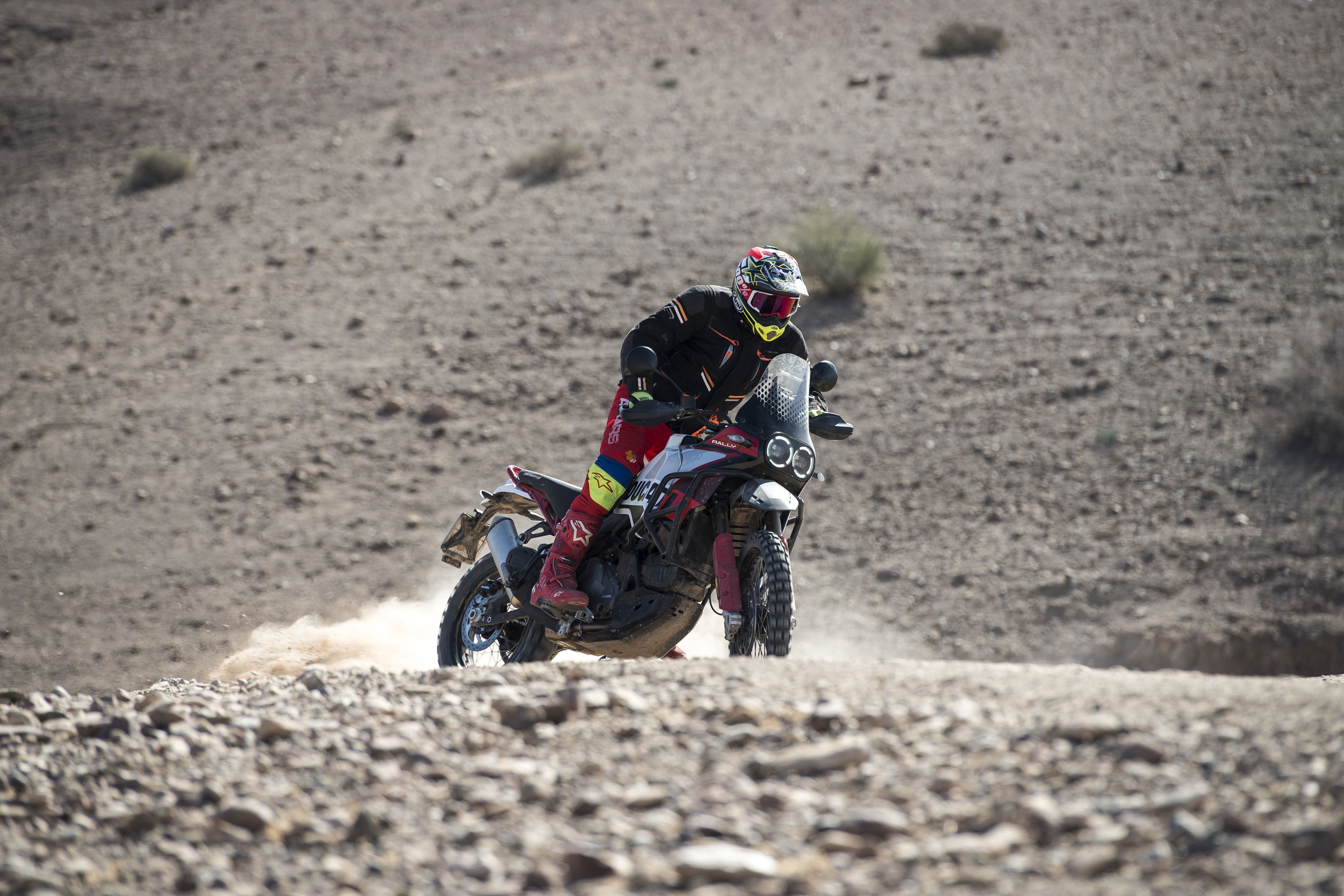 Ducati DesertX Rally 2024 