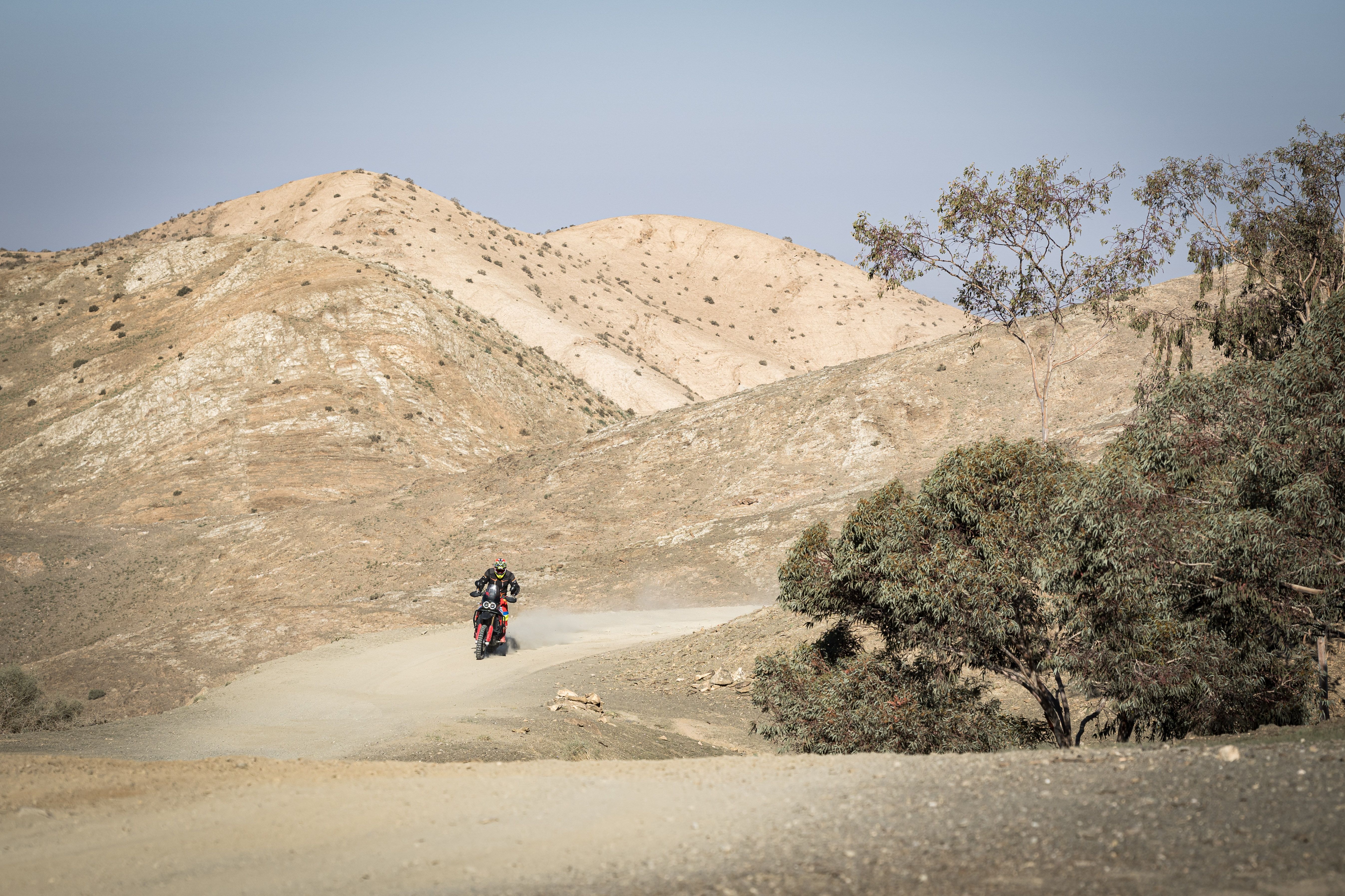 Ducati DesertX Rally 2024 