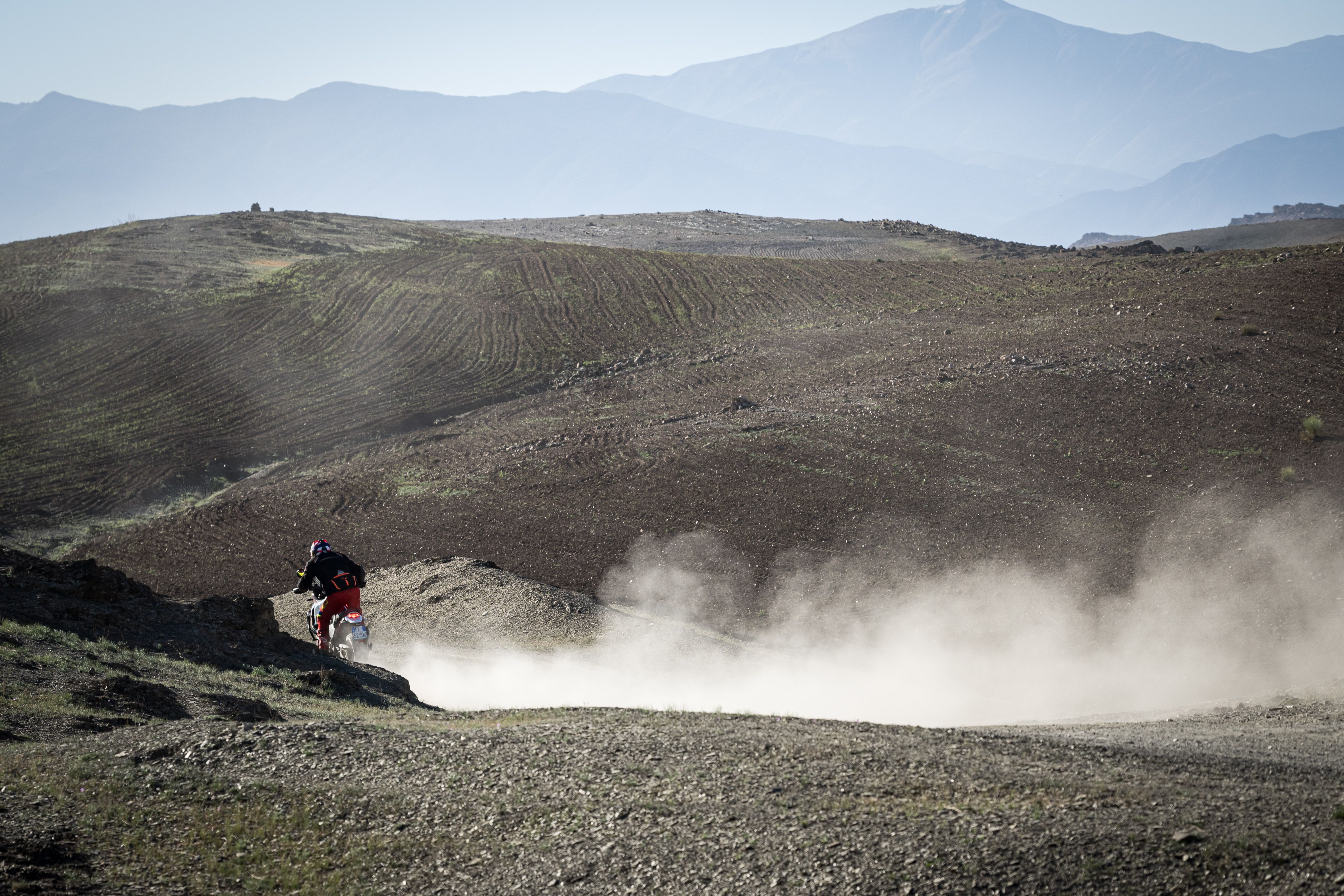 Ducati DesertX Rally 2024 