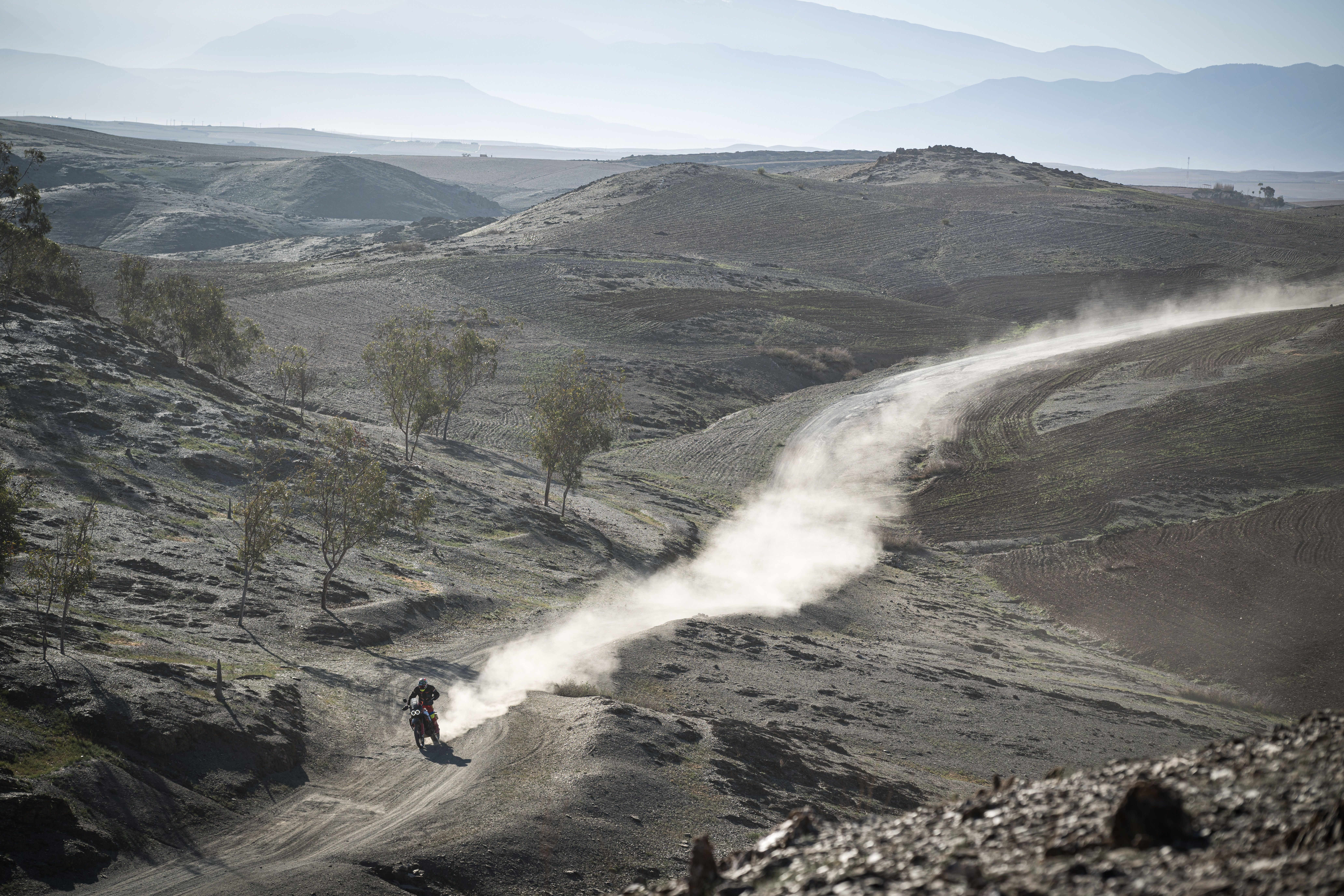 Ducati DesertX Rally 2024 