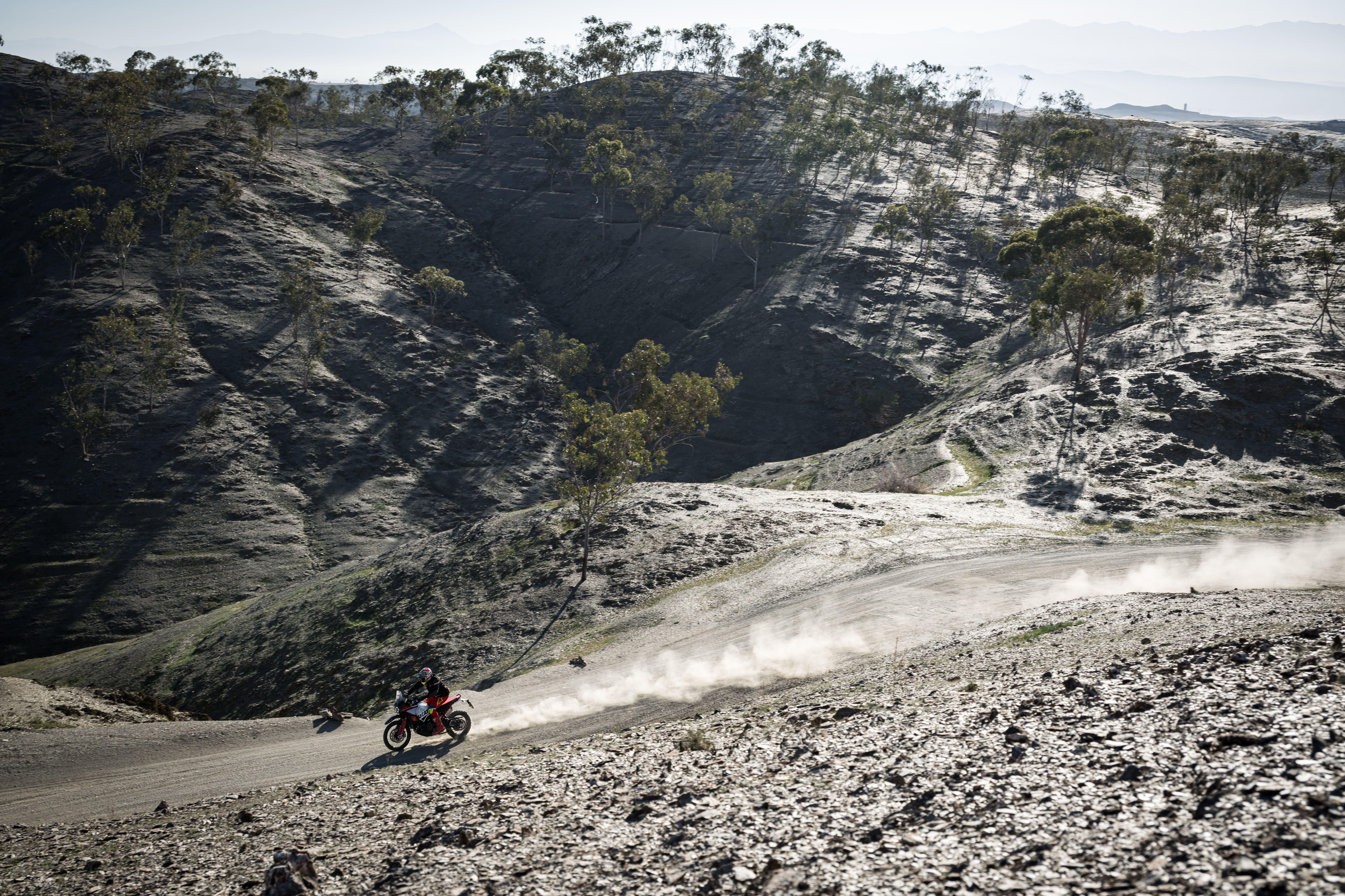 Ducati DesertX Rally 2024 