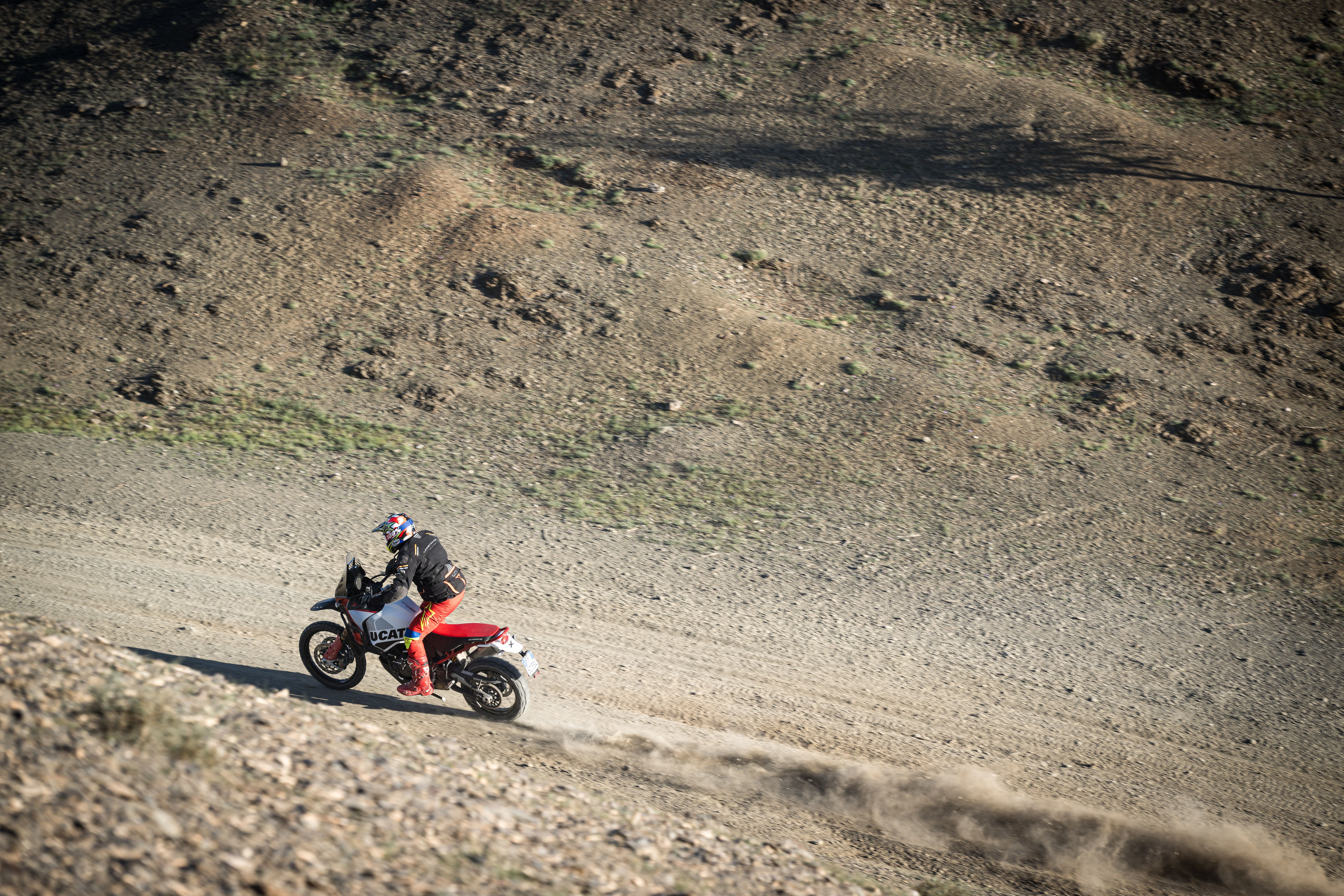 Ducati DesertX Rally 2024 