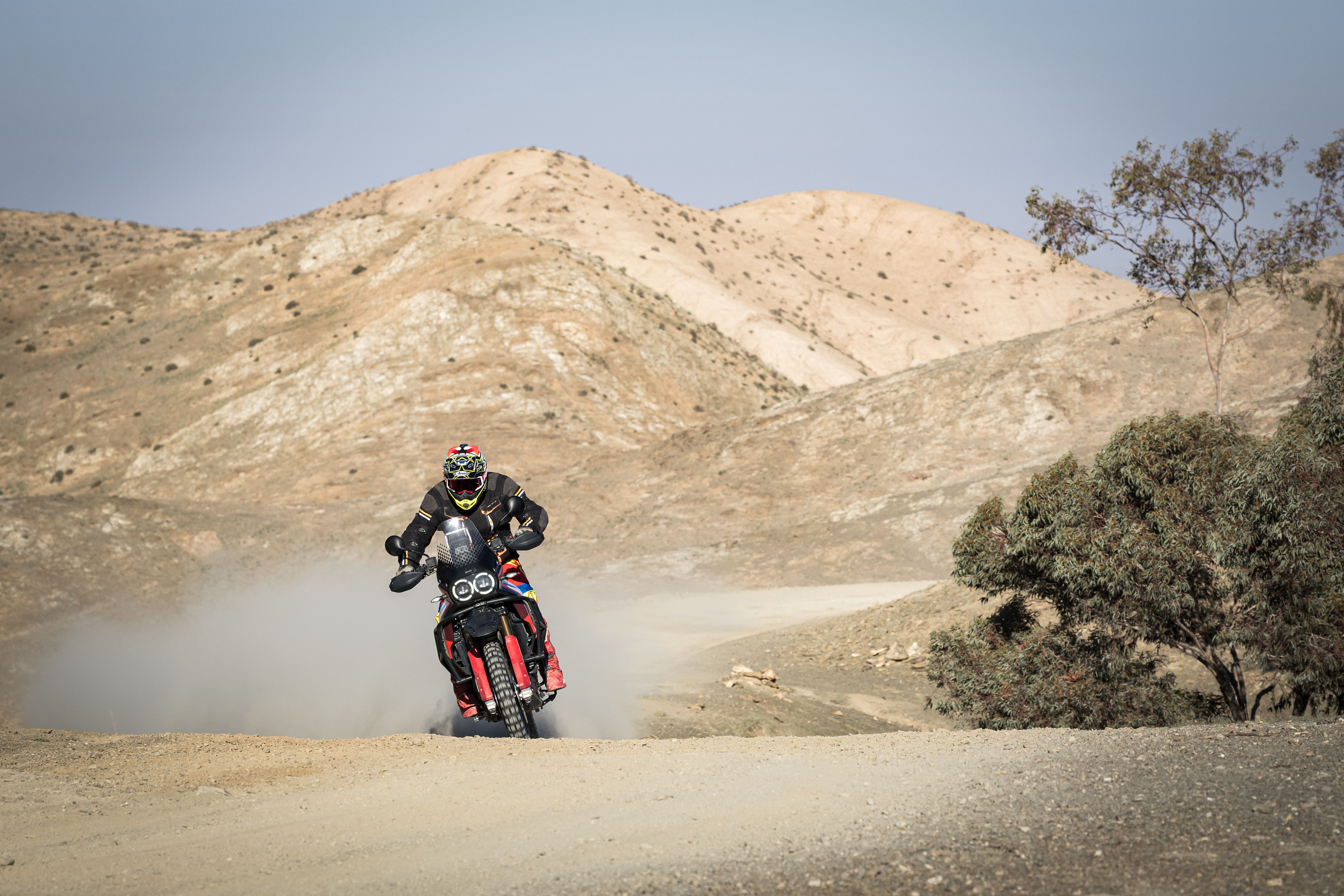 Ducati DesertX Rally 2024 