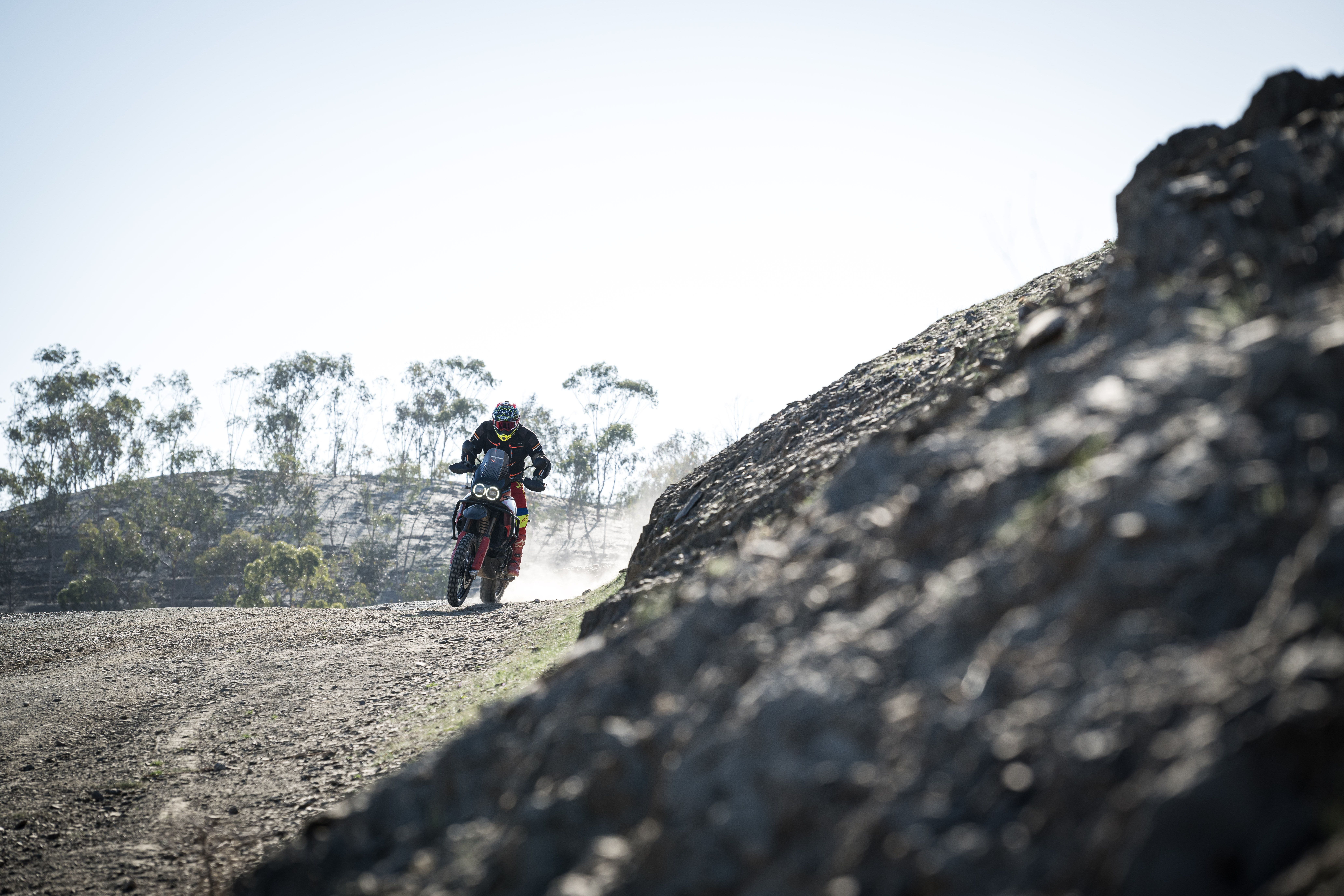Ducati DesertX Rally 2024 