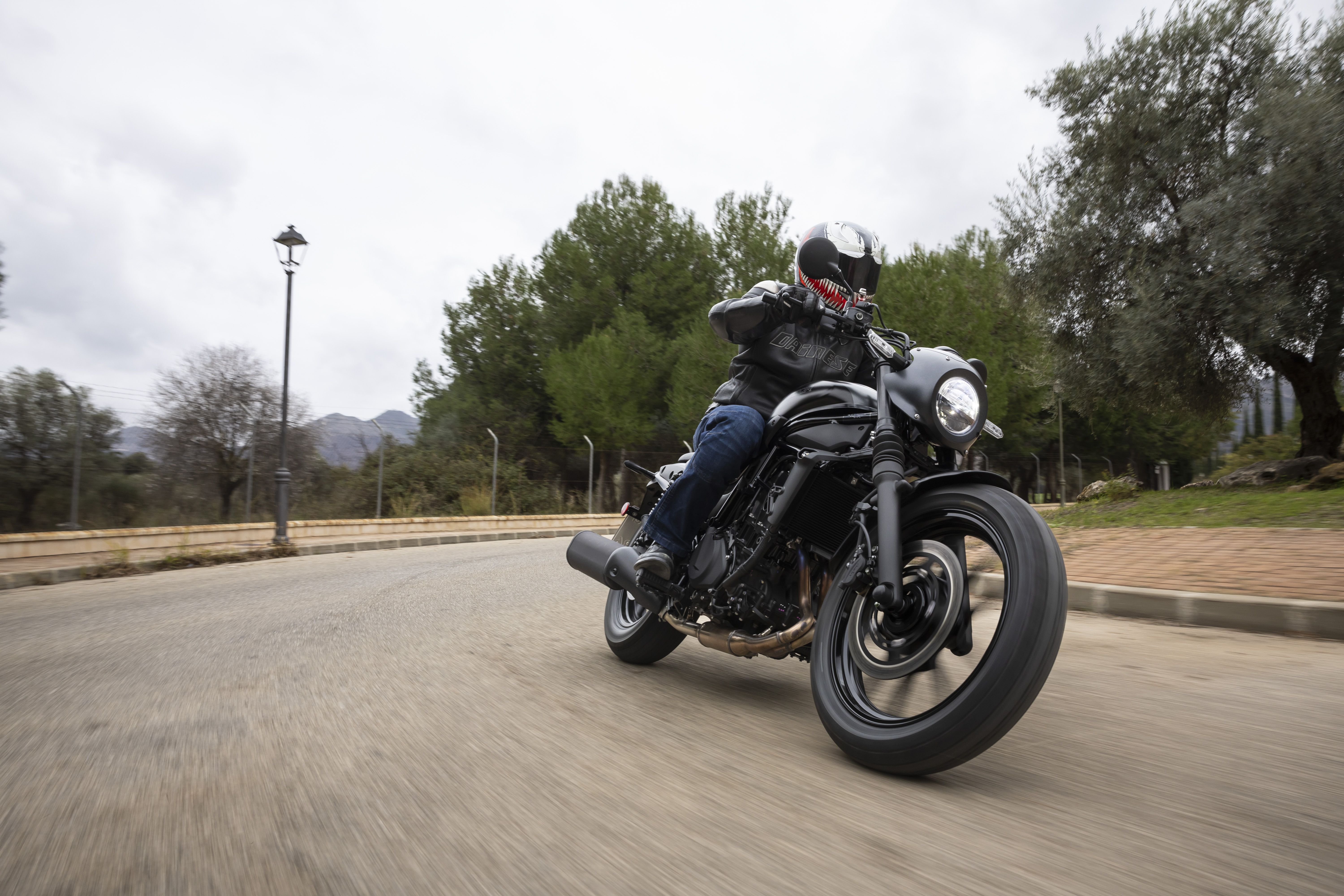 Kawasaki Eliminator 500 accion (5)