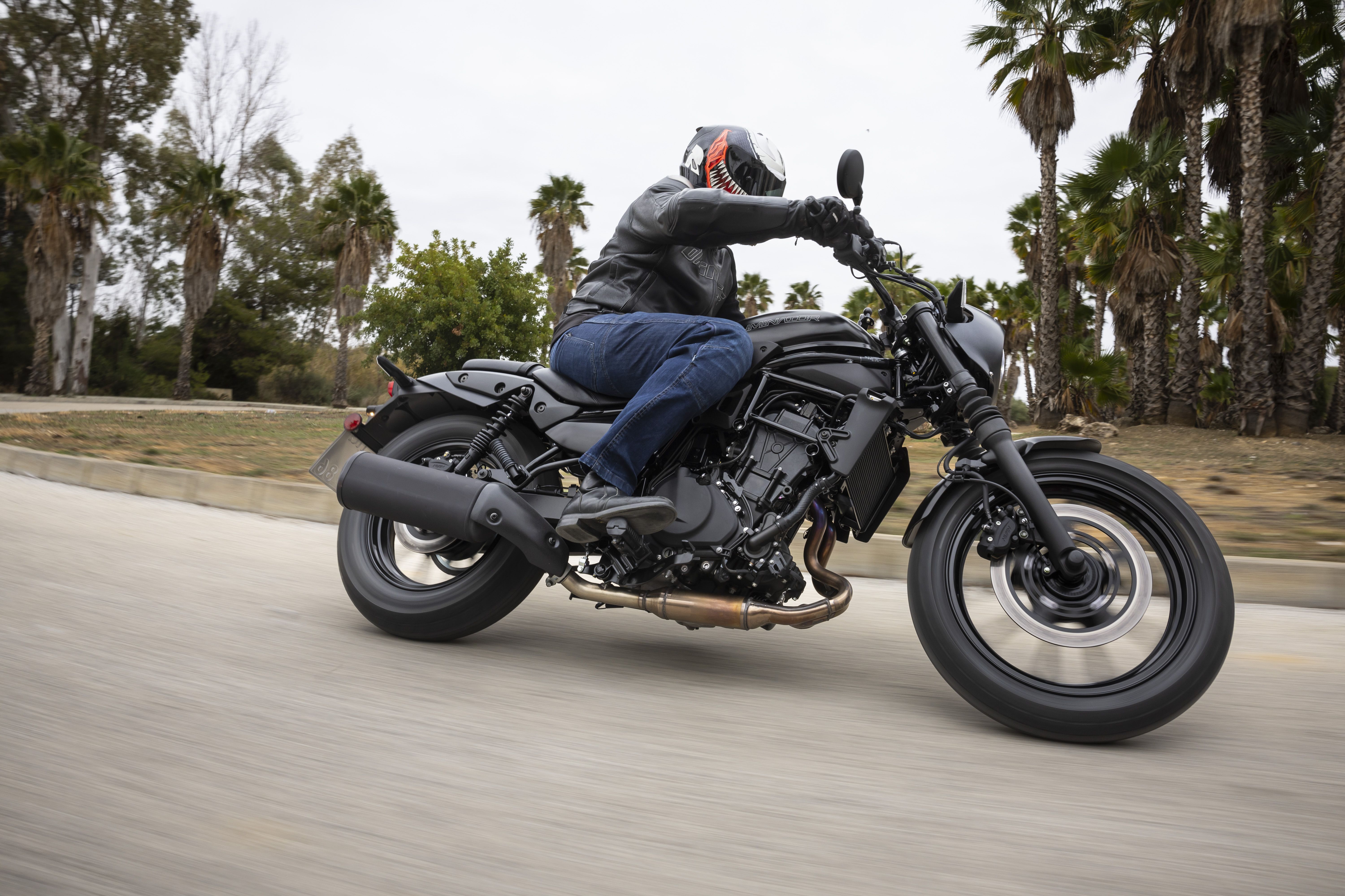 Kawasaki Eliminator 500 accion (7)
