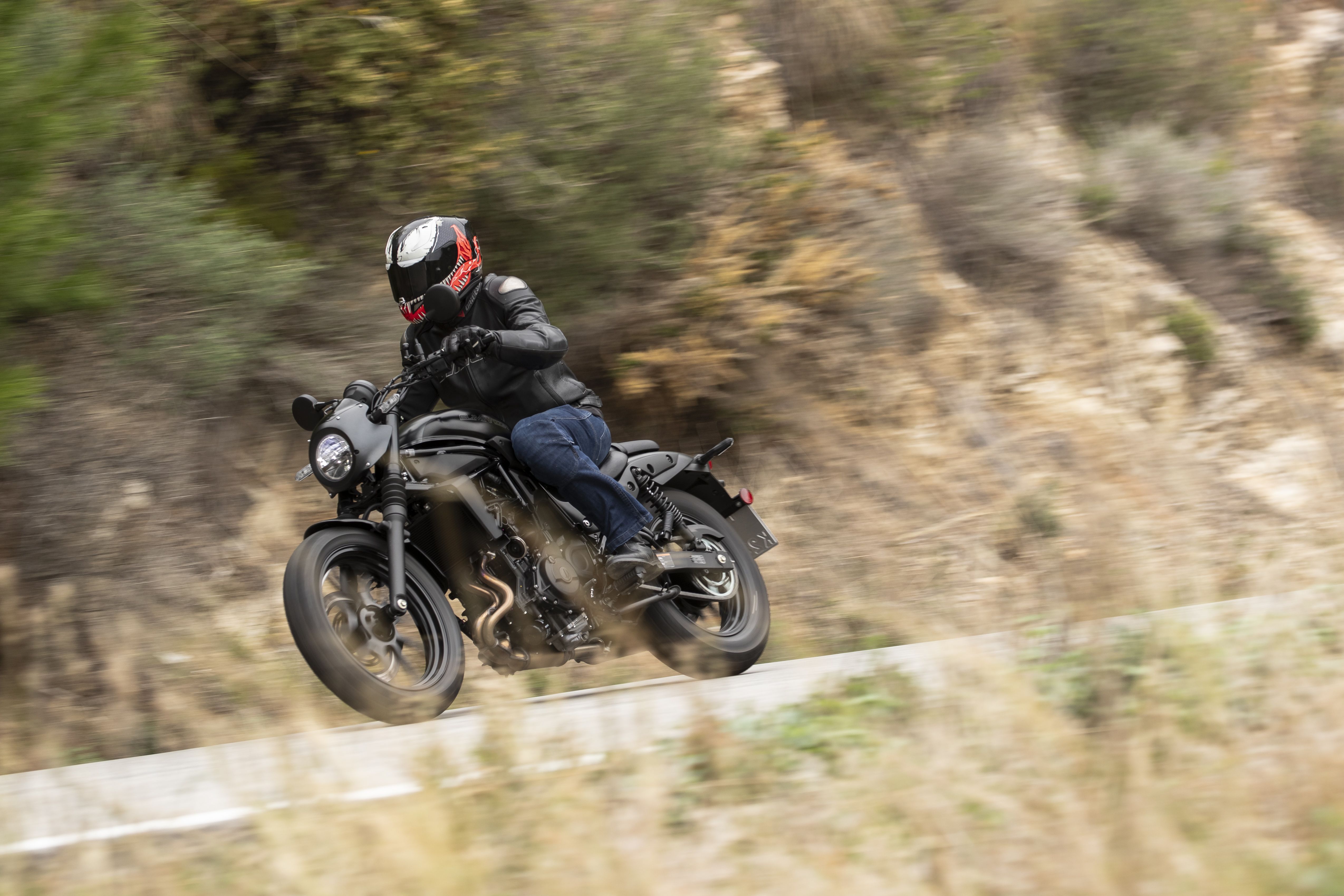 Kawasaki Eliminator 500 accion (18)