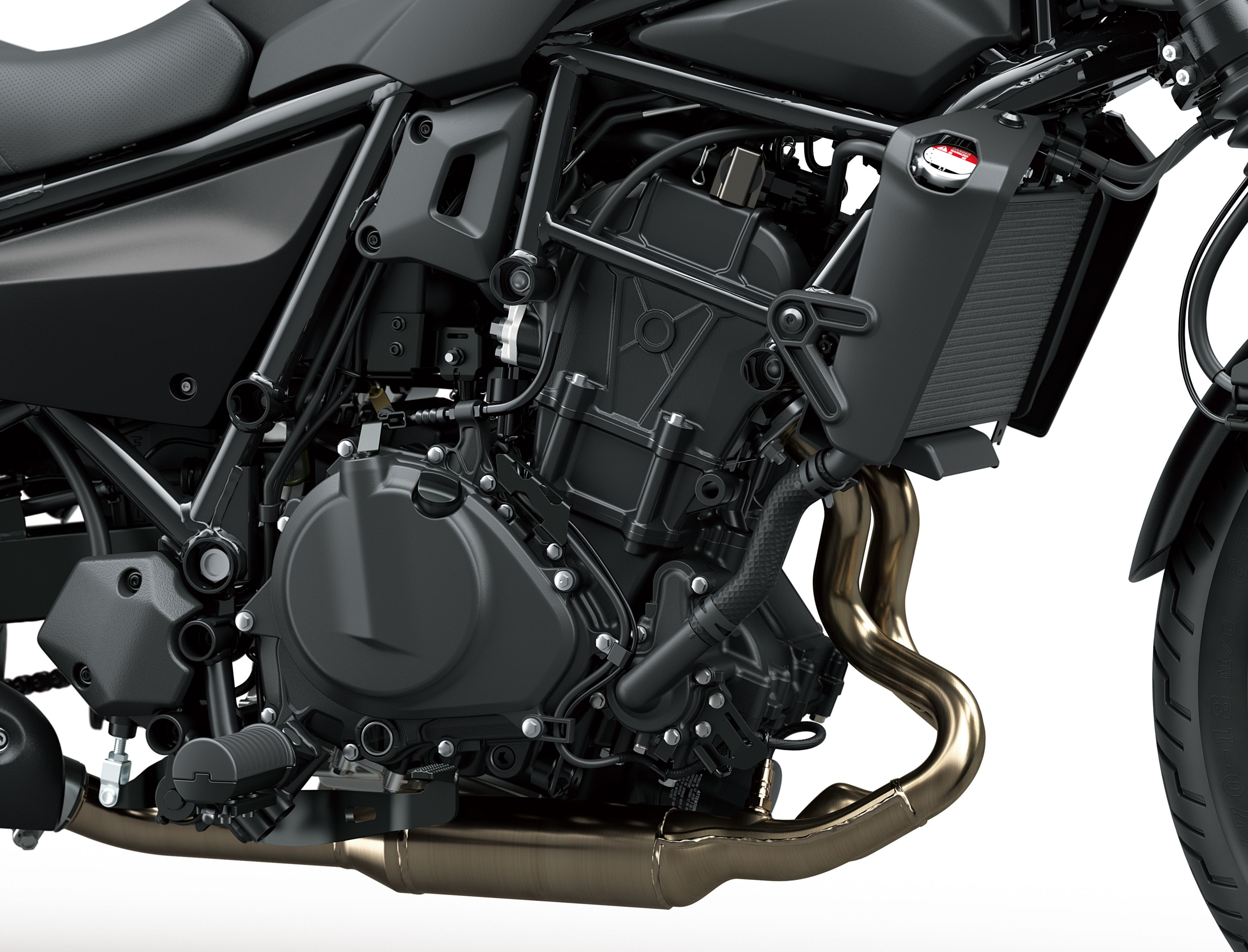 Kawasaki Eliminator detalles (4)