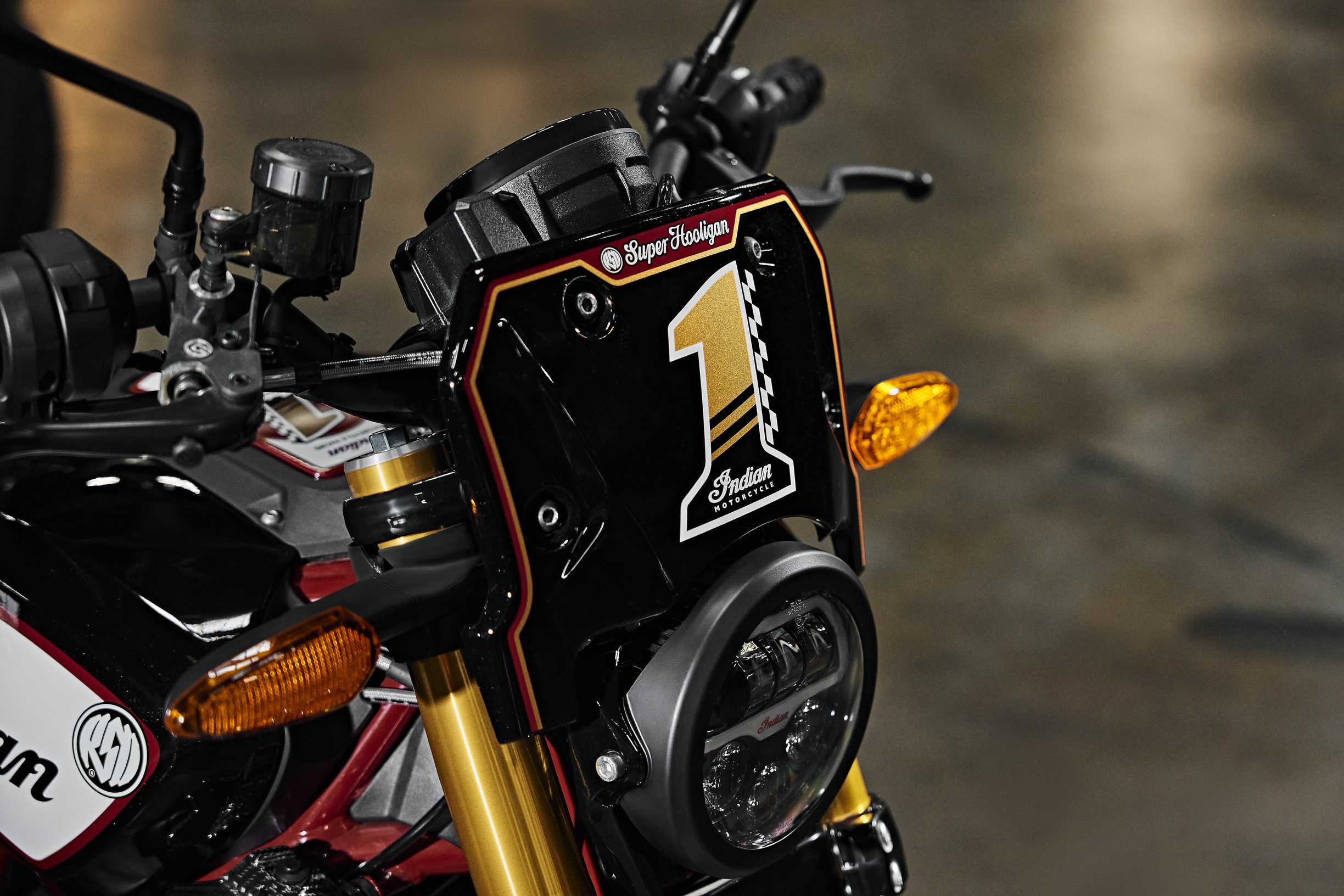 Indian FTR x RSD Super Hooligan  30