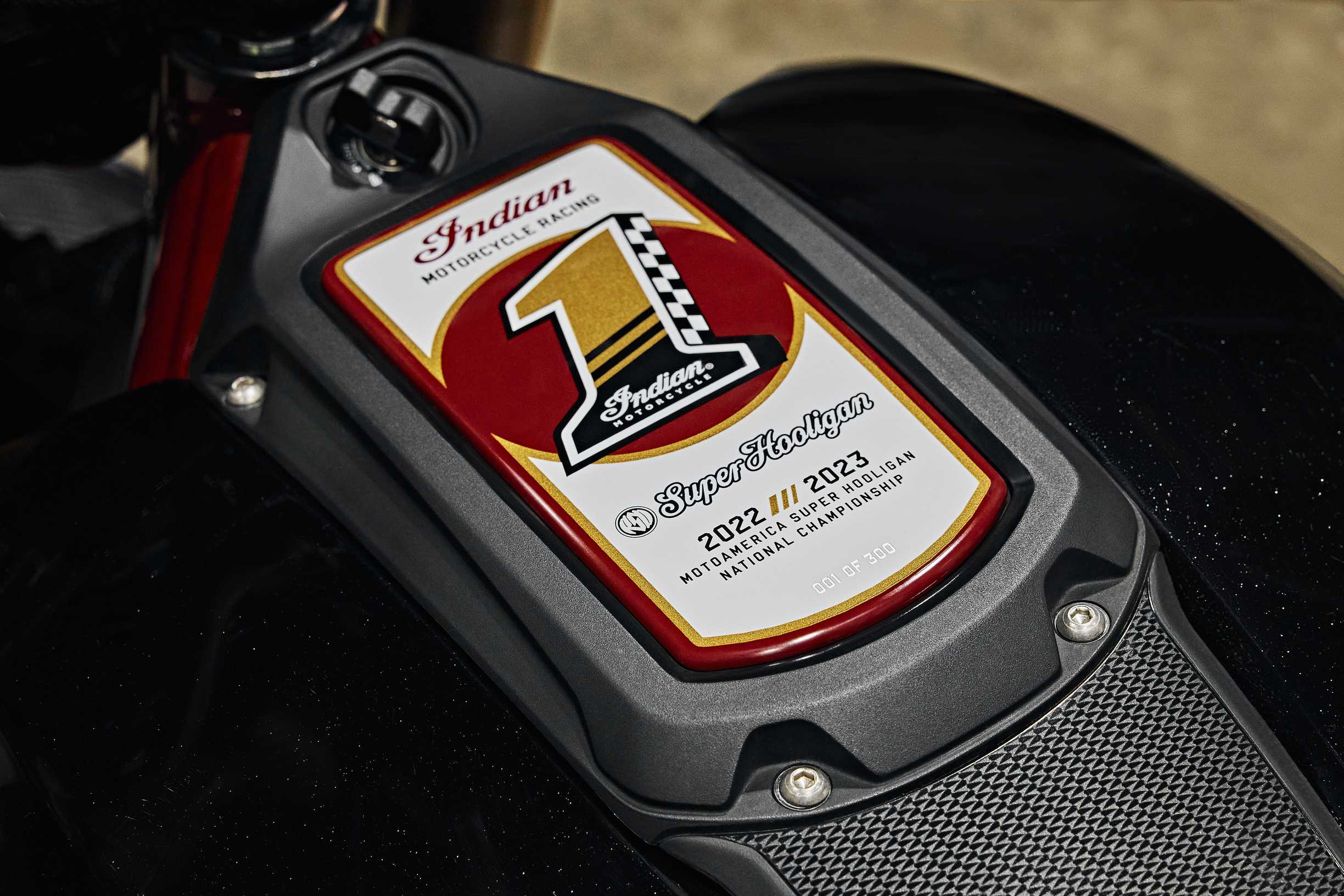 Indian FTR x RSD Super Hooligan  36