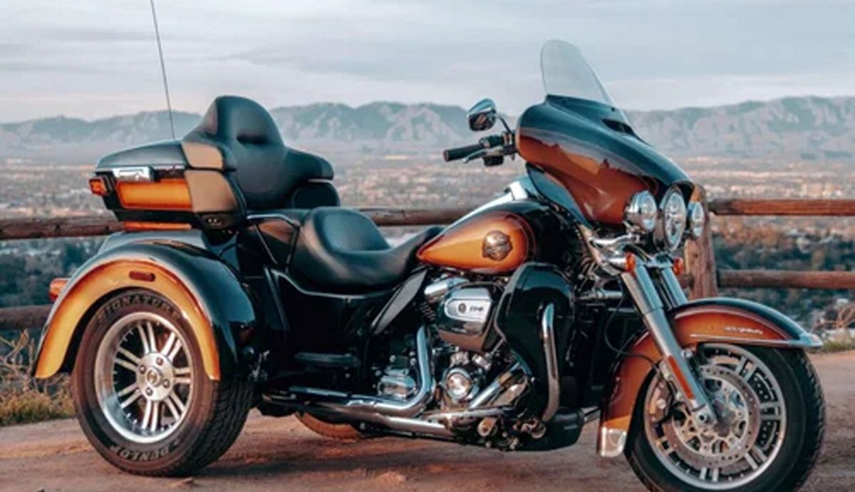 H D 2024 Enthusiast Tobacco Fade 2