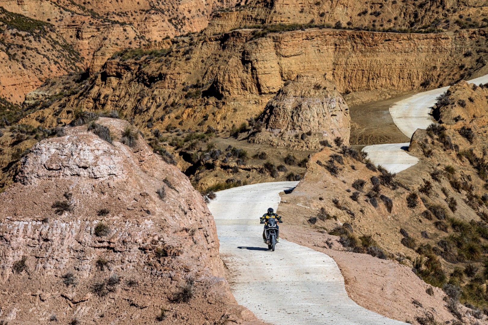 Honda CRF1100L Africa Twin 2024 Accion