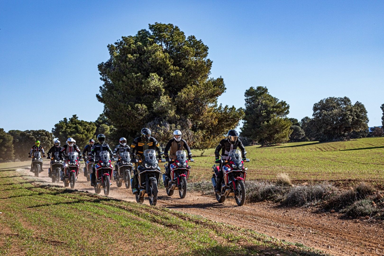 Honda CRF1100L Africa Twin 2024 Accion