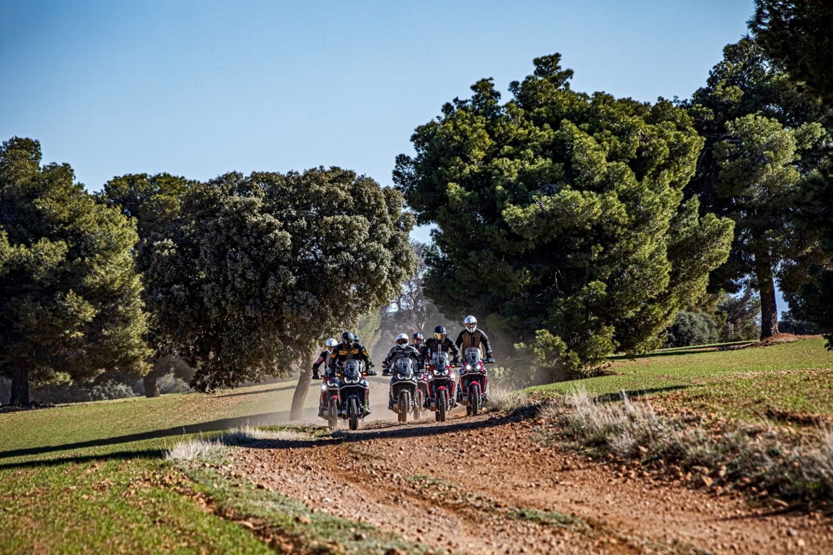 Honda CRF1100L Africa Twin 2024 Accion