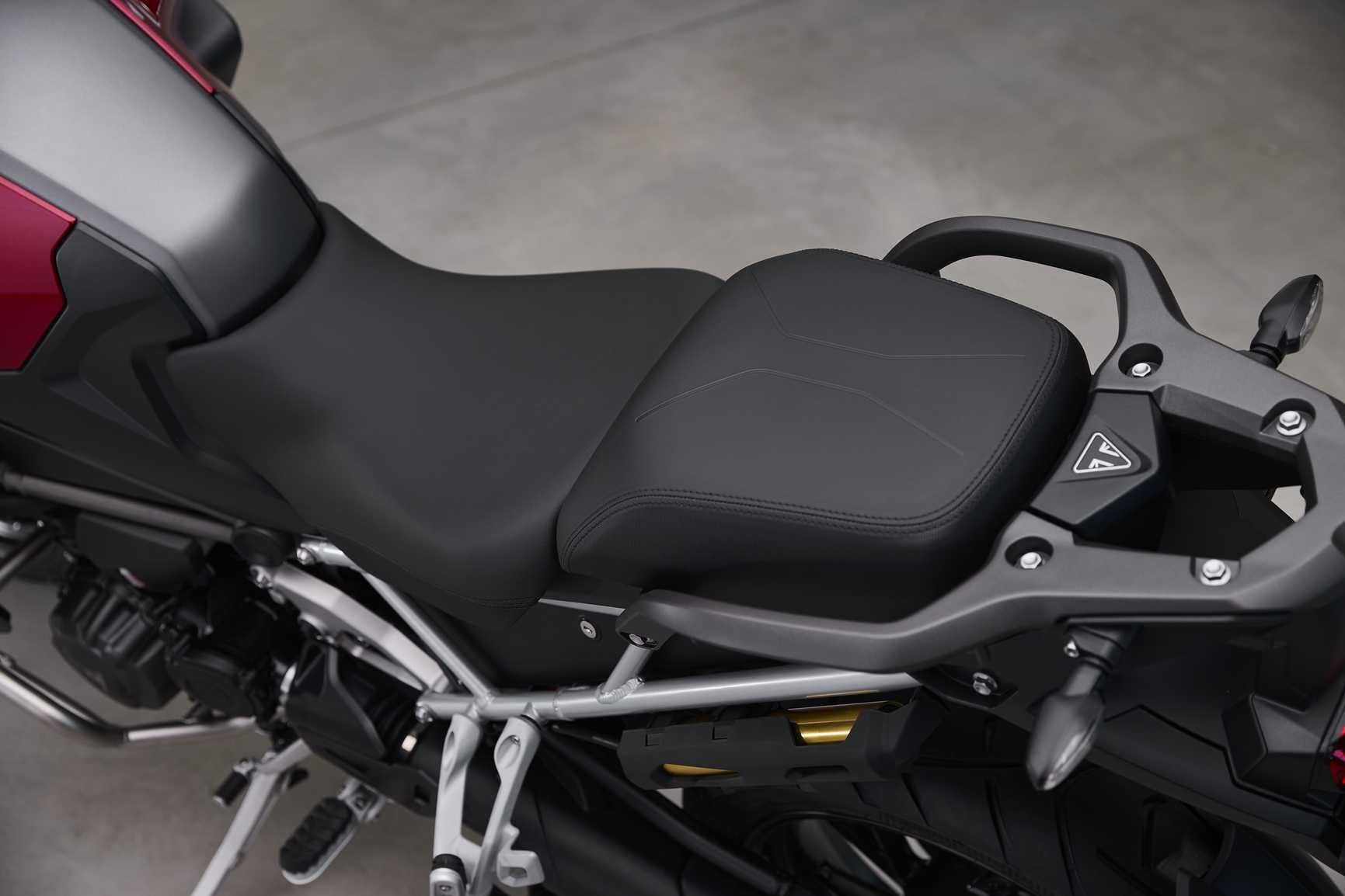 Triumph Tiger 1200 GT 2024 4
