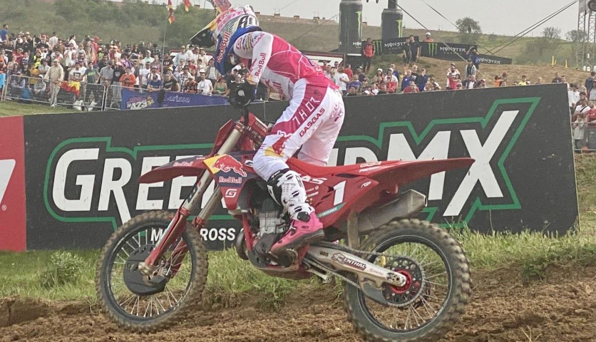Jorge Prado DM8 (Grande) Jorge Prado DM8 (Grande)