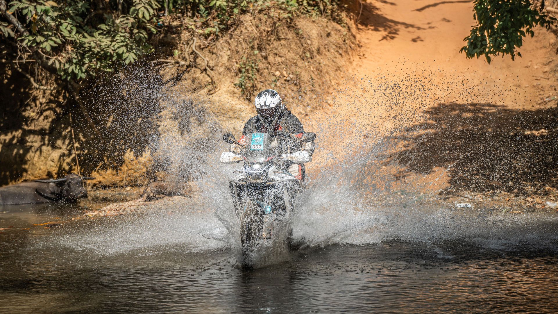 CFMoto 450 MT 2024 Accion (1)