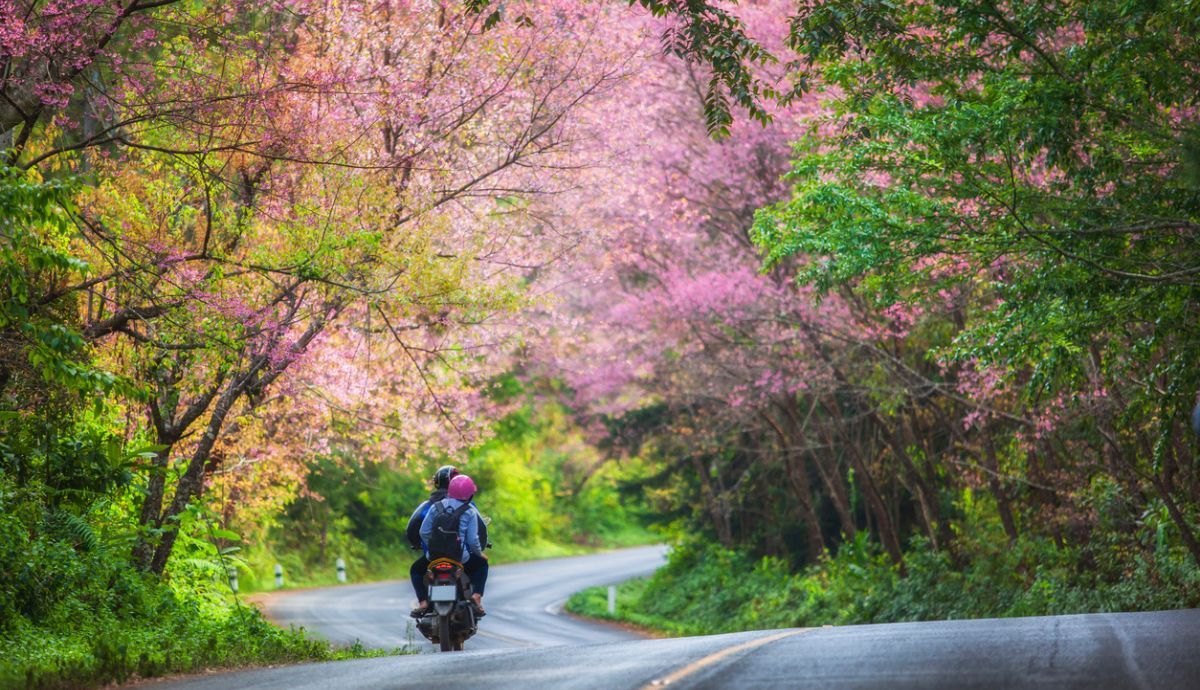 Tu moto en primavera