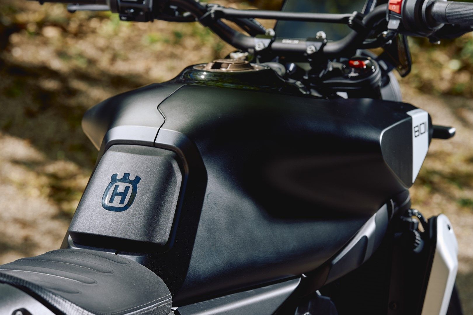 Fotos Husqvarna Svartpilen 801 2024