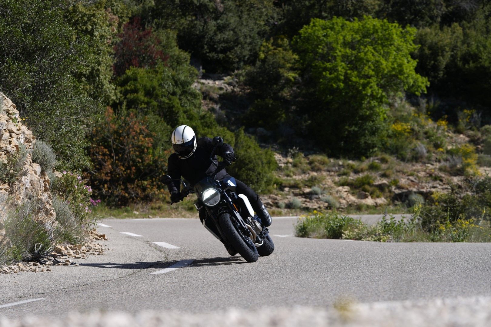 Fotos Husqvarna Svartpilen 801 2024