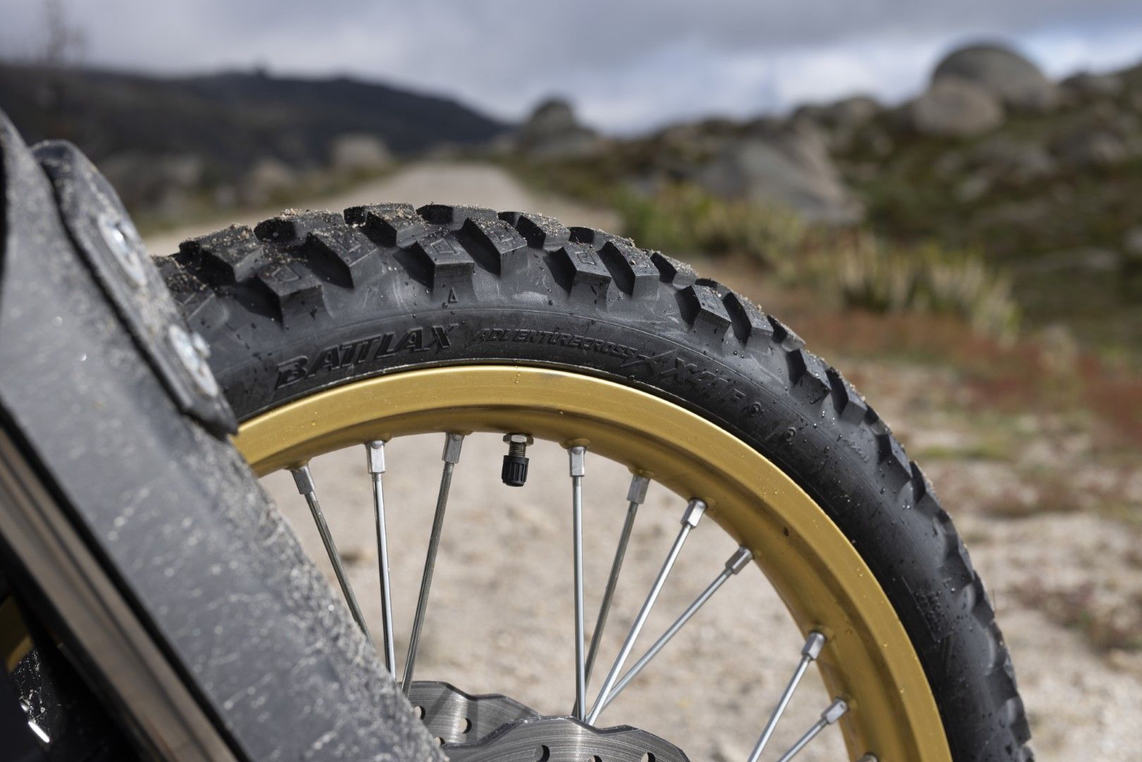 Fotos Gama Bridgestone Battlax Adventure 41