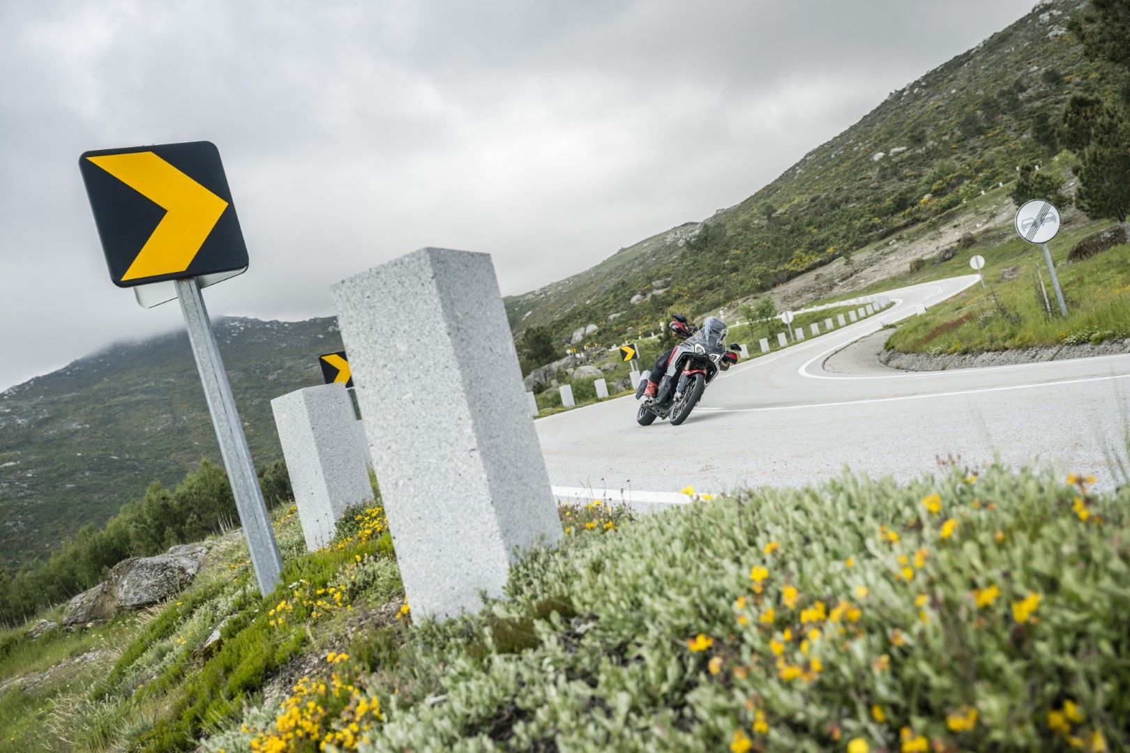 Fotos Gama Bridgestone Battlax Adventure 41
