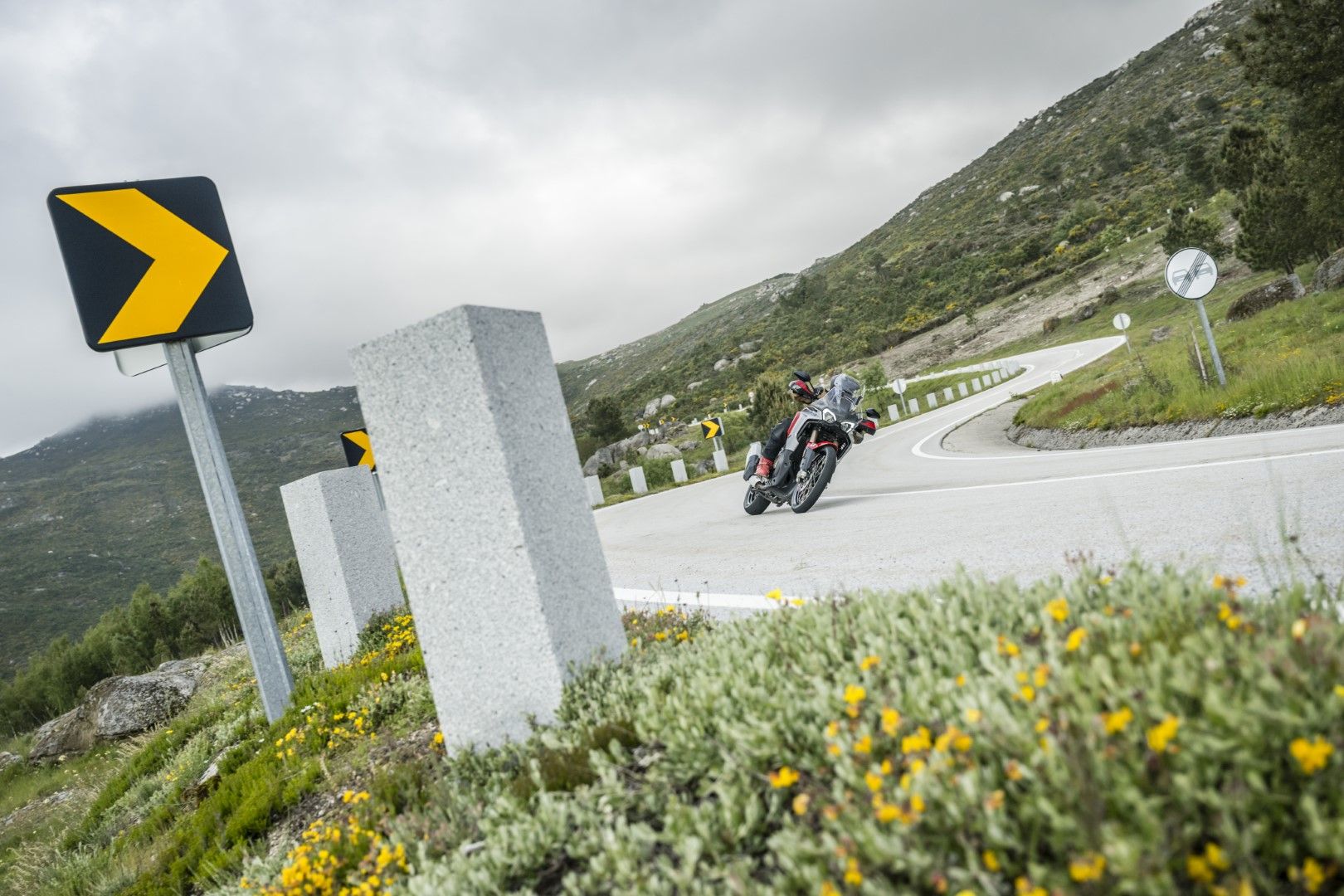 Fotos Gama Bridgestone Battlax Adventure 41