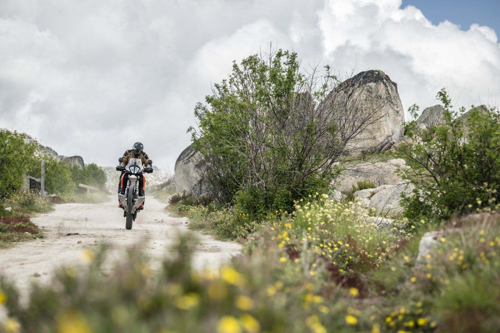 Fotos Gama Bridgestone Battlax Adventure 41