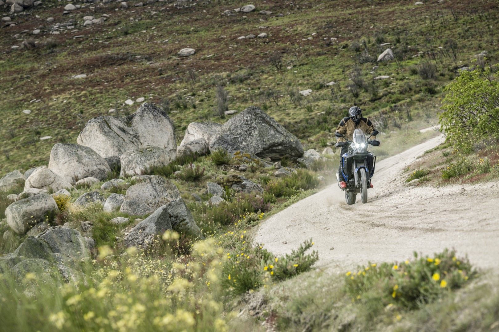 Fotos Gama Bridgestone Battlax Adventure 41
