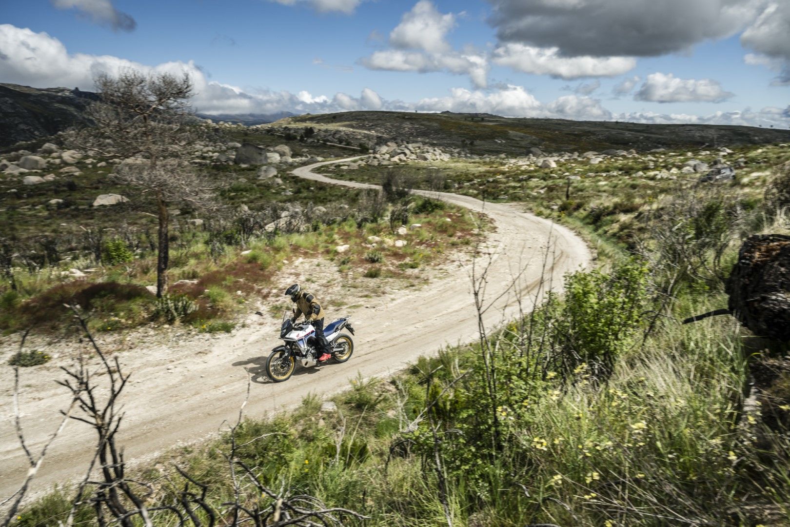 Fotos Gama Bridgestone Battlax Adventure 41