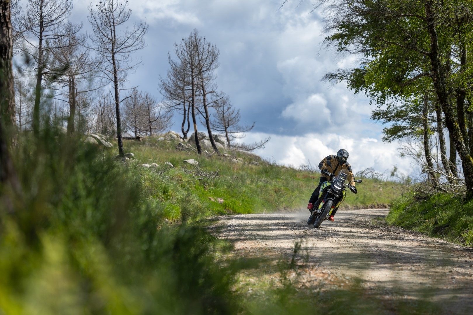 Fotos Gama Bridgestone Battlax Adventure 41