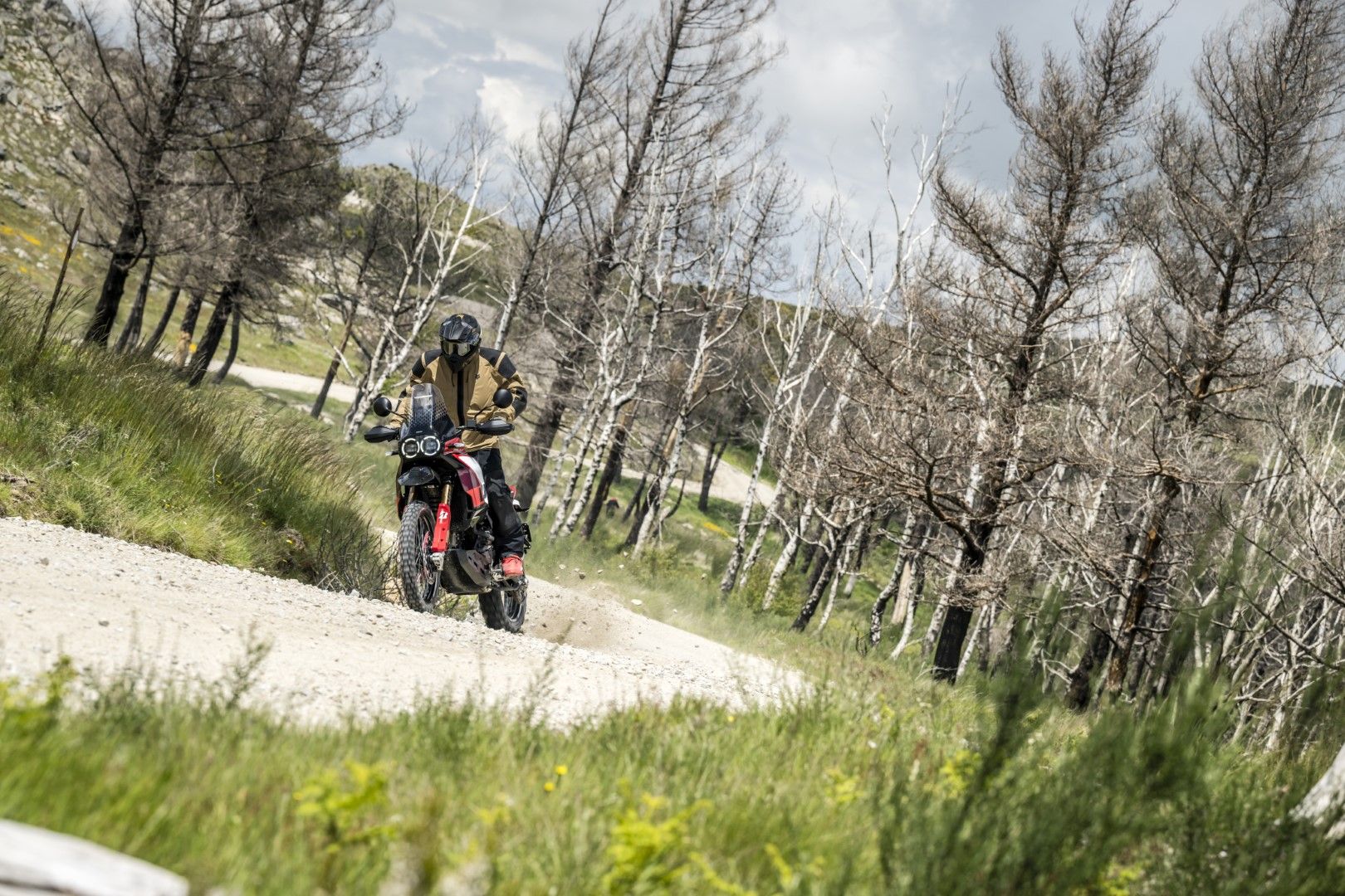 Fotos Gama Bridgestone Battlax Adventure 41