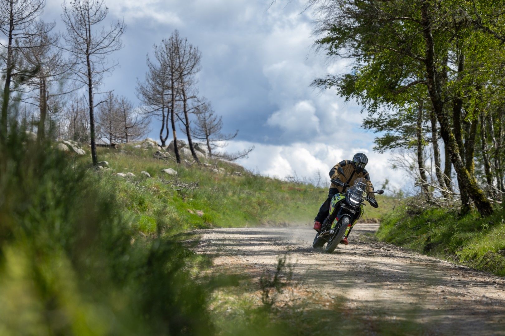Fotos Gama Bridgestone Battlax Adventure 41